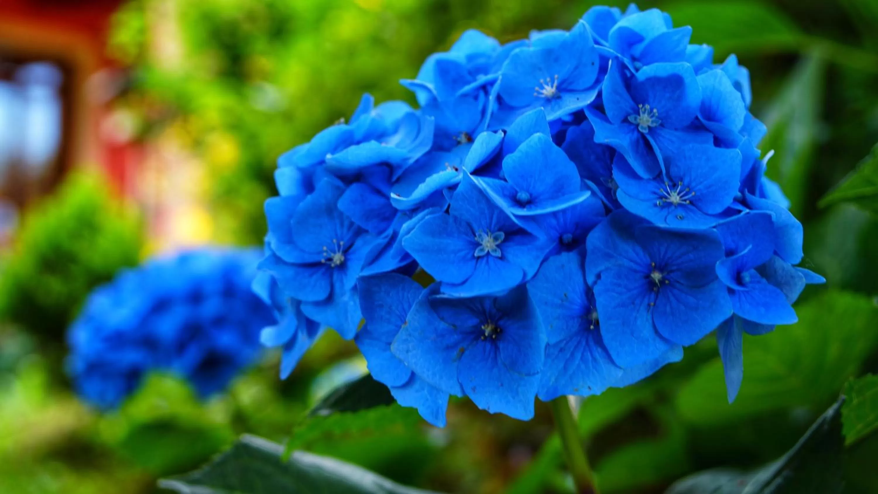 Bed & Breakfast Milù