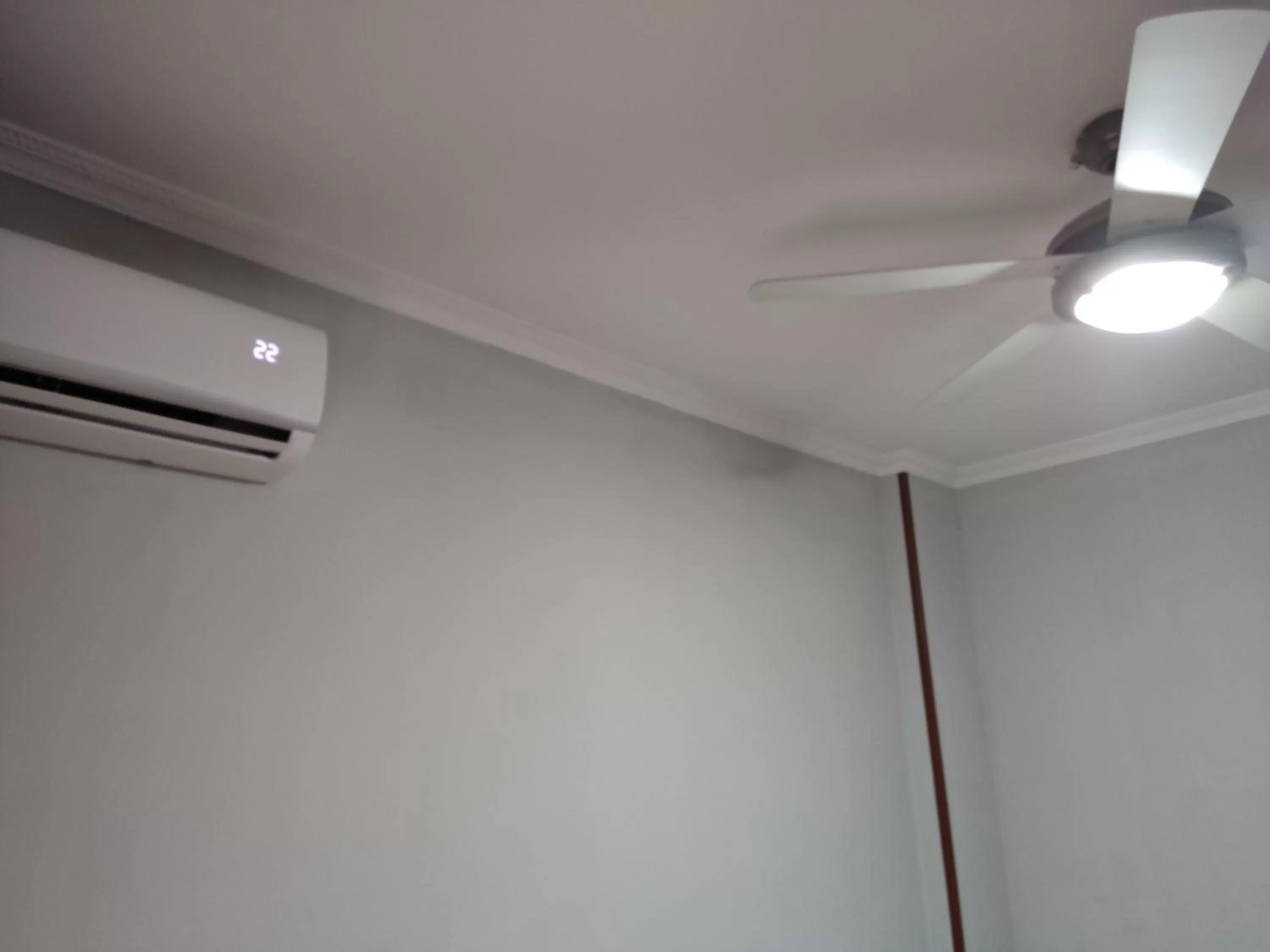 Area and facilities in Hotel Europa