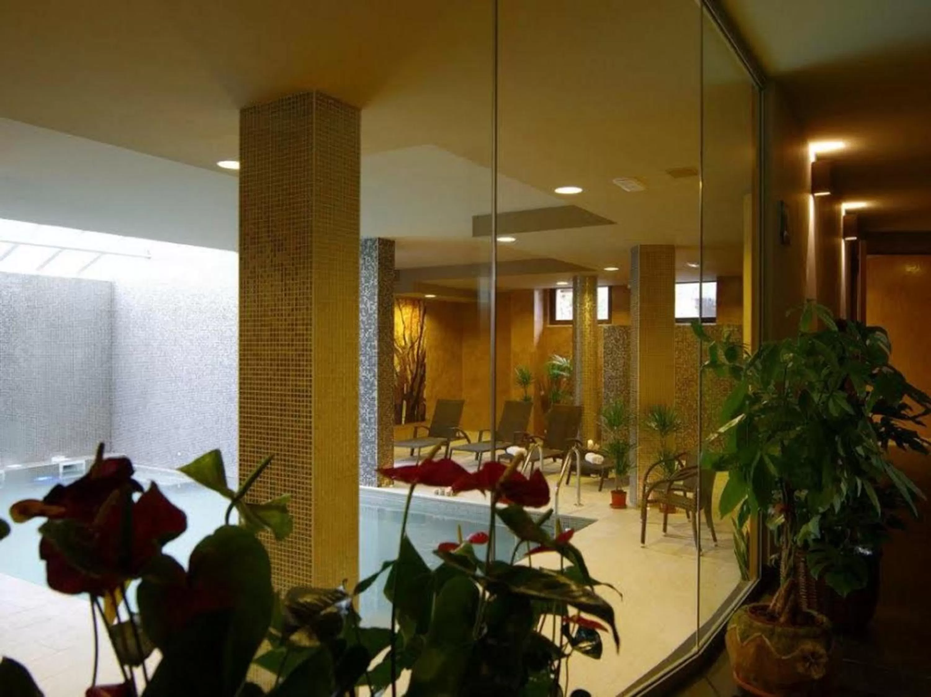 Spa and wellness centre/facilities, Restaurant/Places to Eat in Hotel Natura
