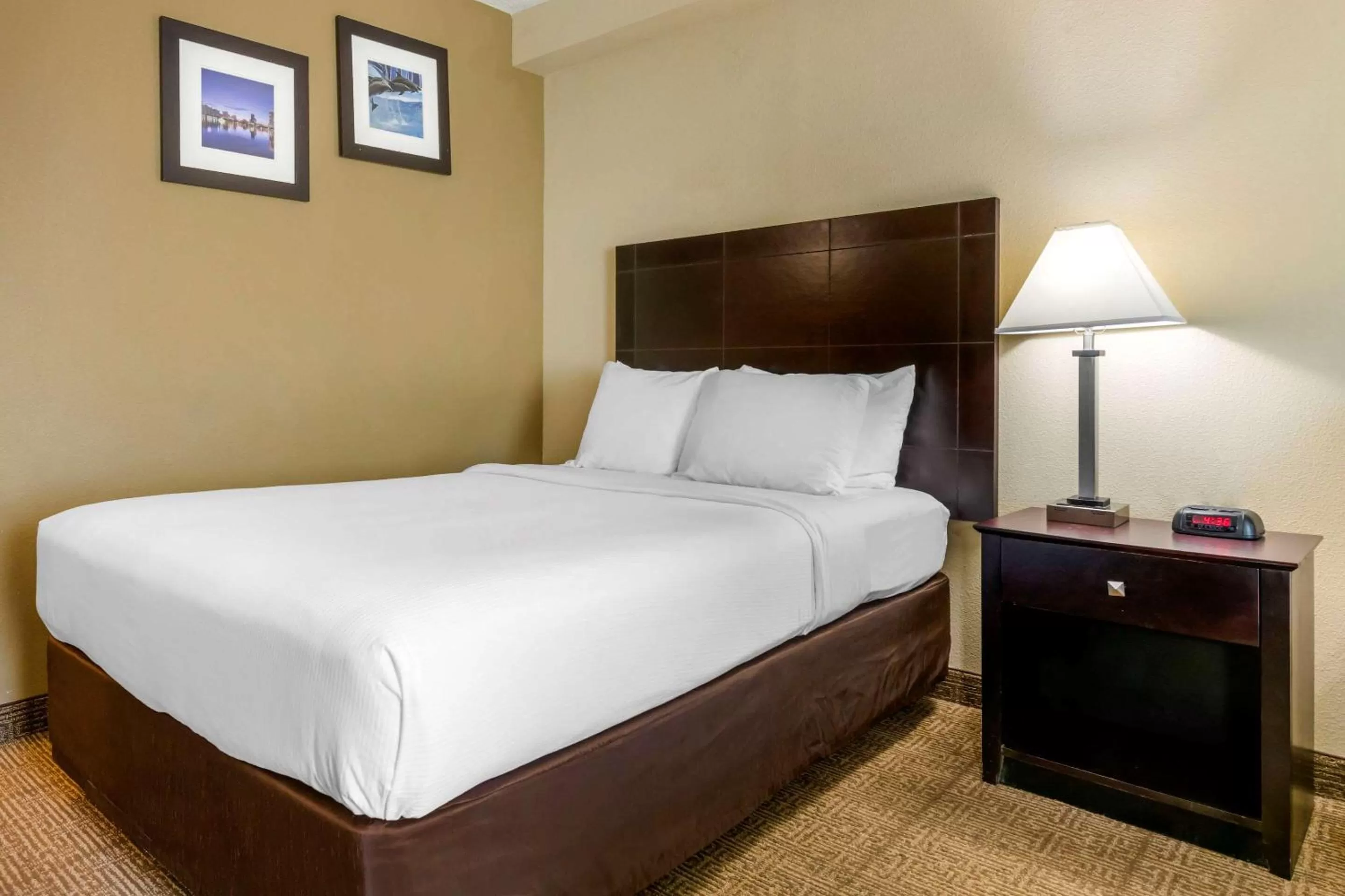 Photo of the whole room, Bed in Comfort Inn International Drive