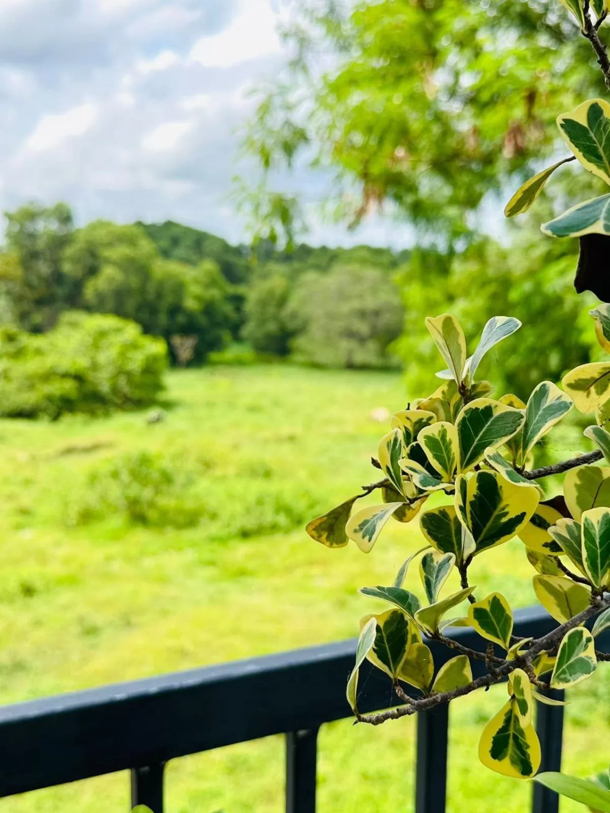 Natural landscape in Otha Shy Airport Transit Hotel