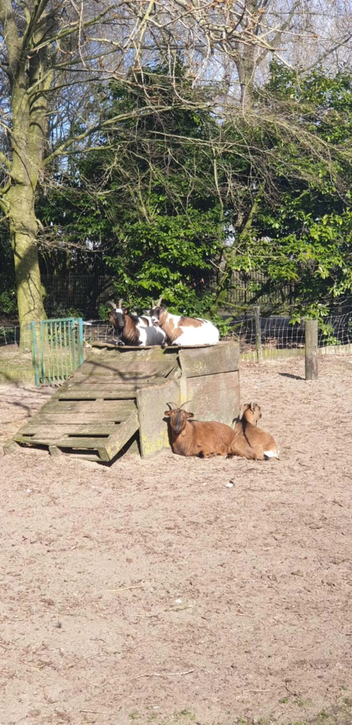 Animals in Hotel Landhuis 't Wilgenerf