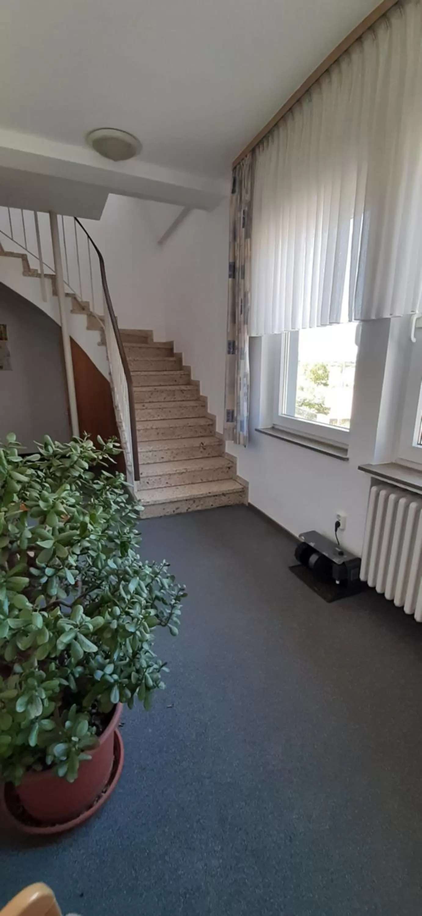 Area and facilities in Landgasthof Zur scharfen Ecke