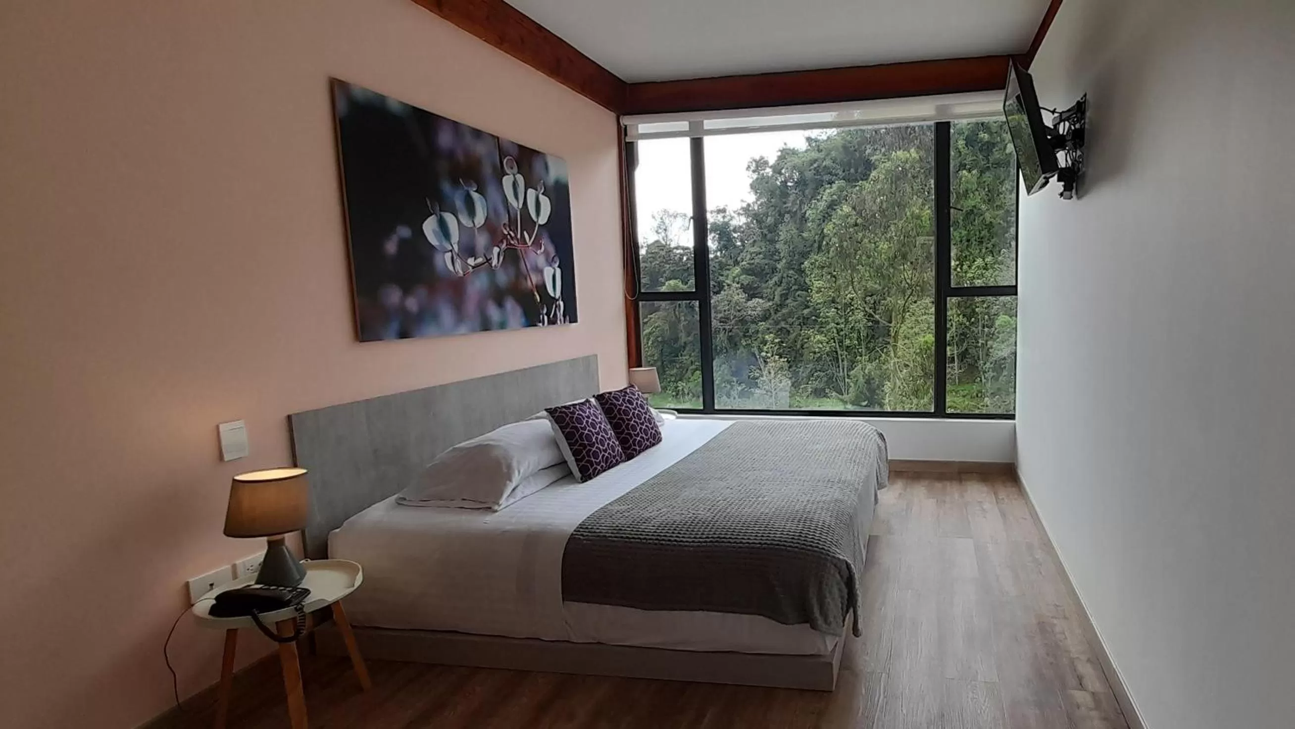 Bed in Hotel Termales Tierra Viva