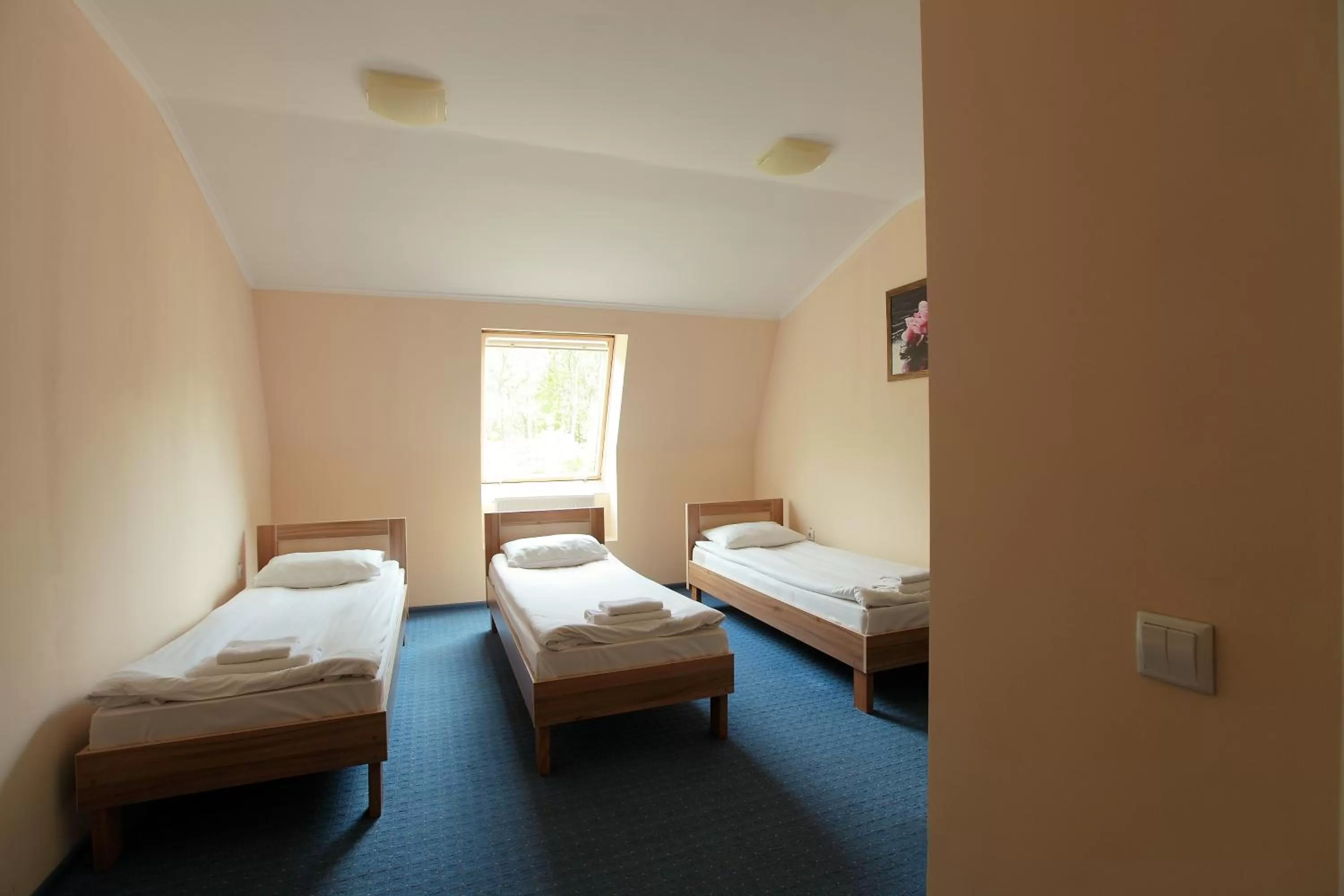 Bed in Budget Hotel Ekotel