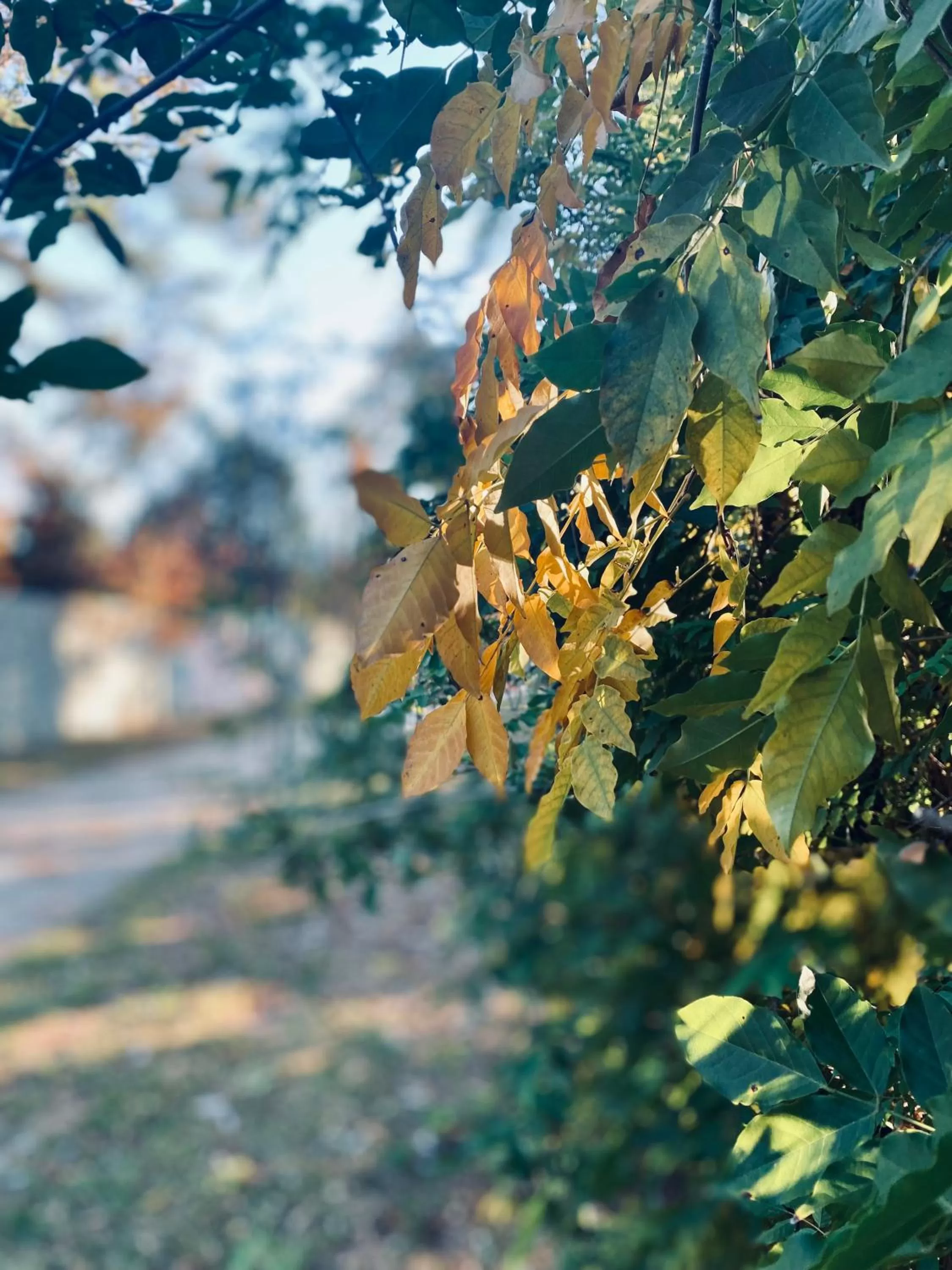 Day in Nobu Hotel Atlanta