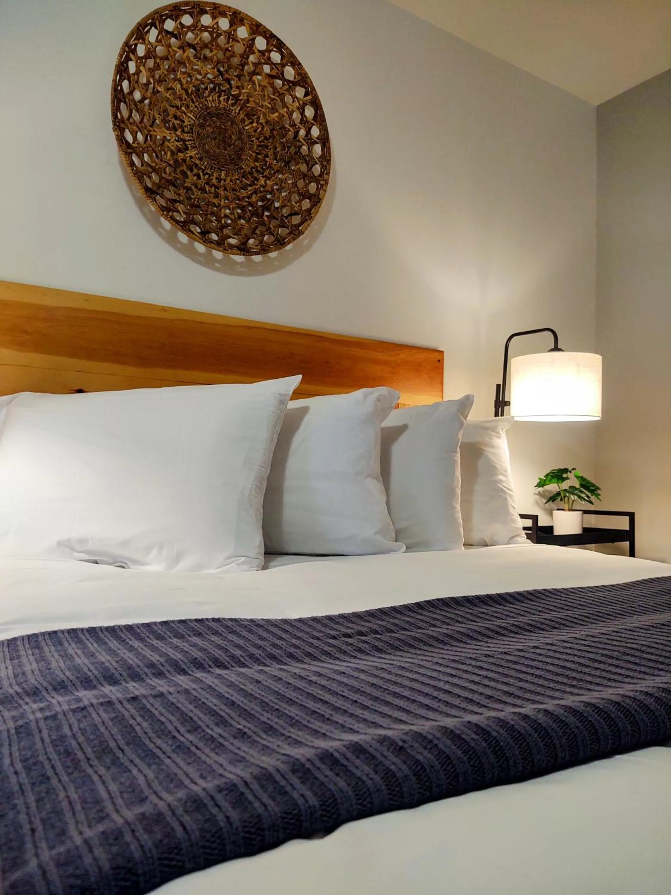 Bed in North Coast Place