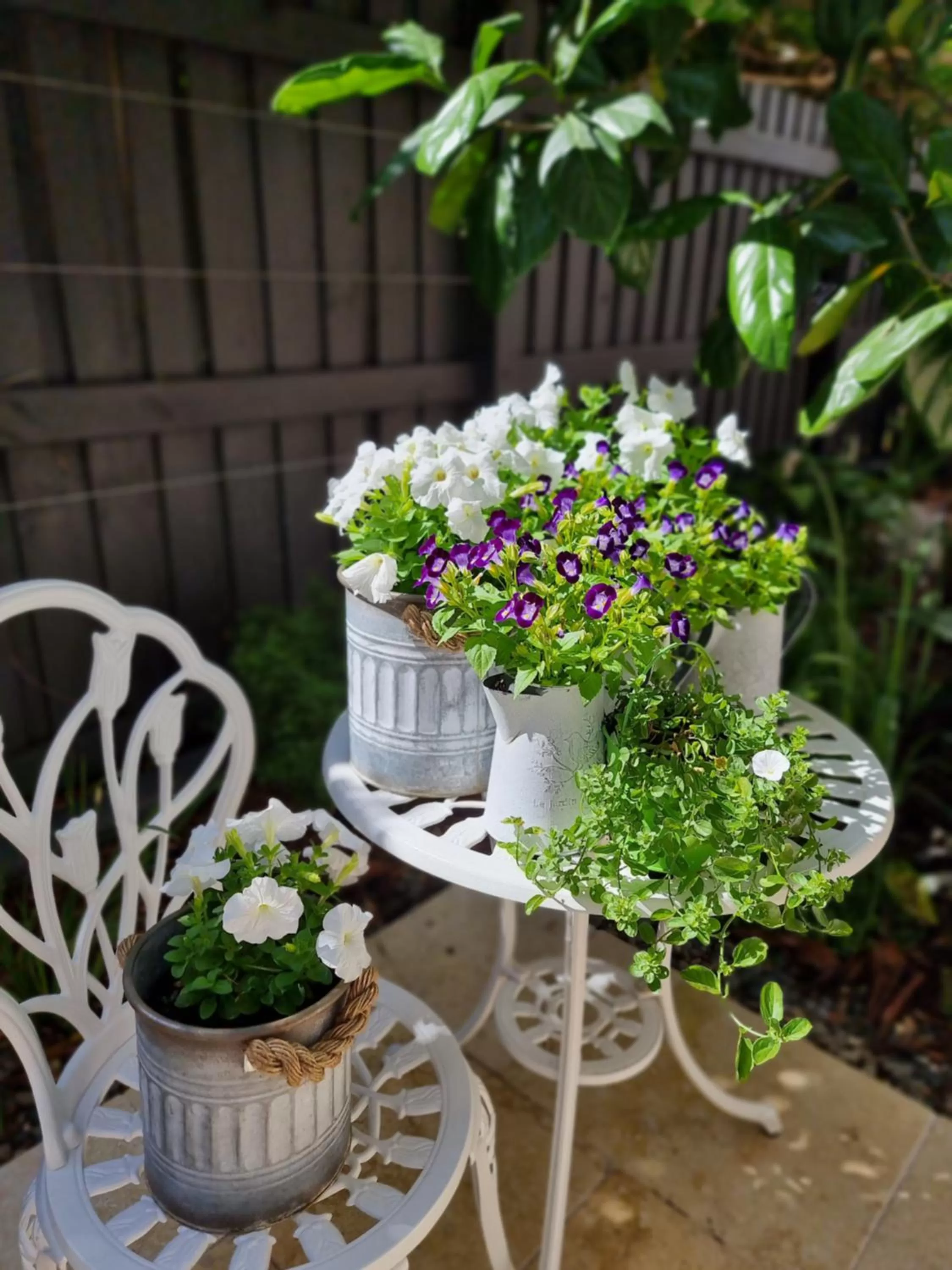 Spring in Edward Lodge New Fam