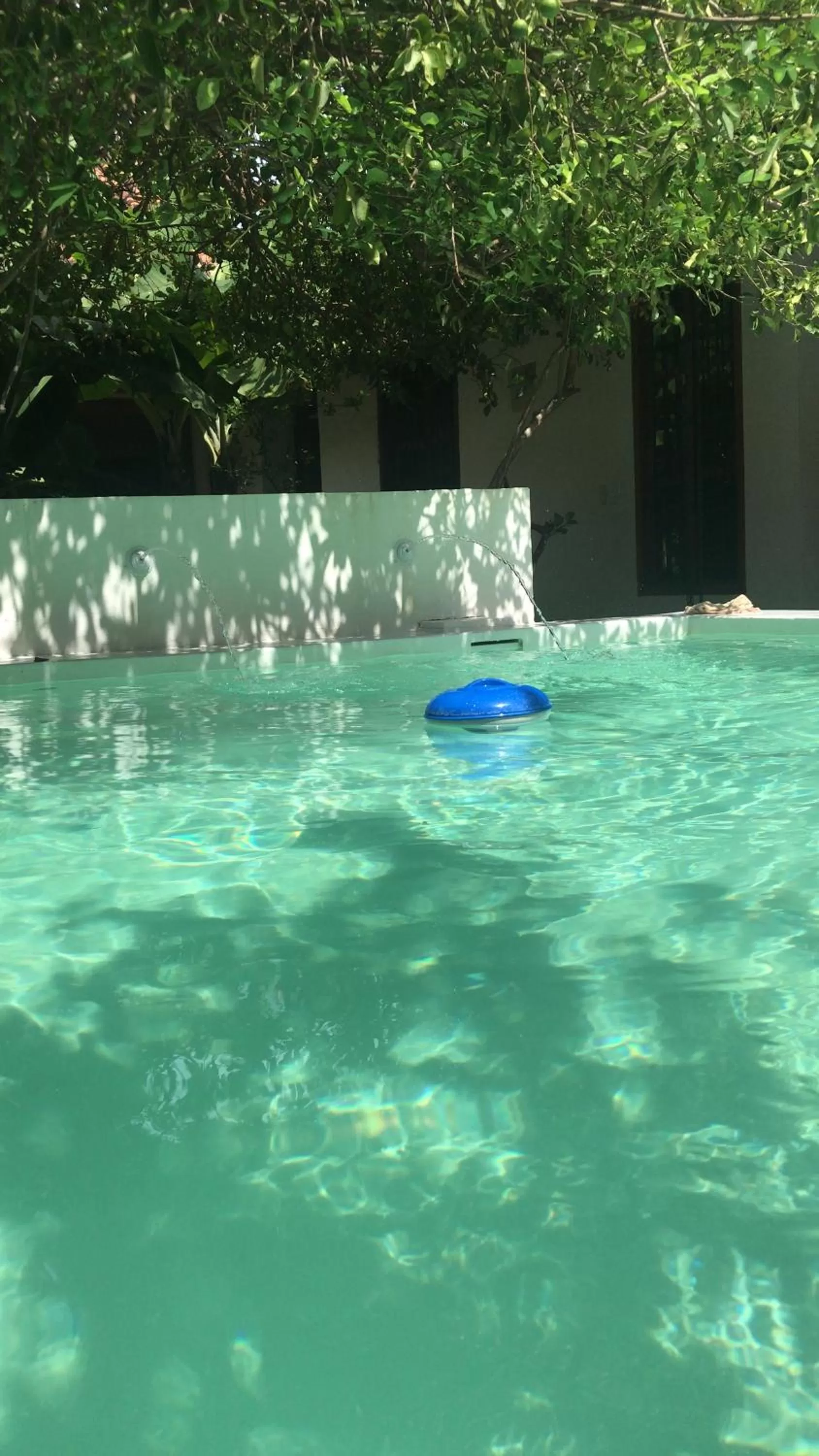 Swimming pool in Portal de la Marquesa