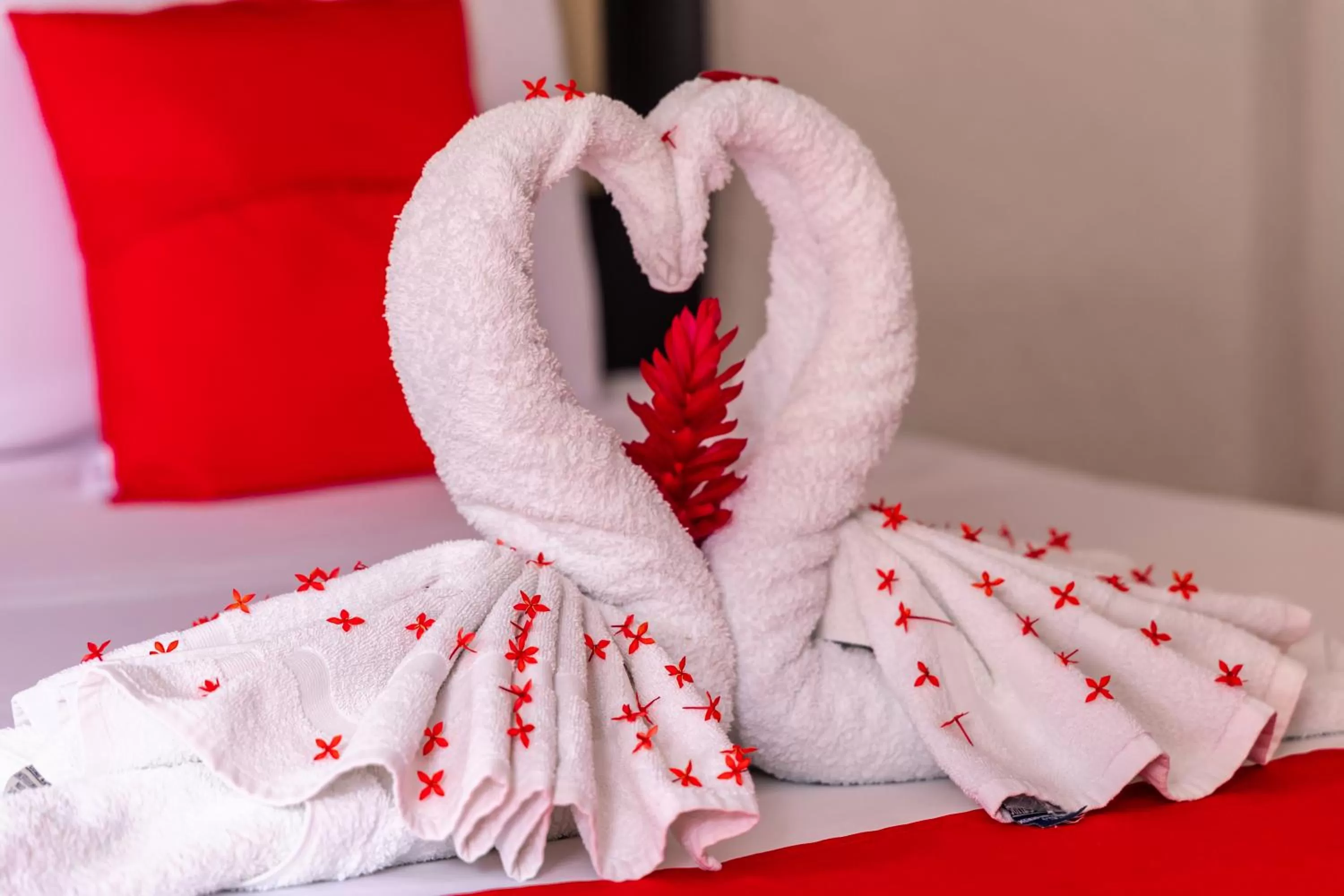 Bedroom, Bed in Hotel Bello Caribe Express