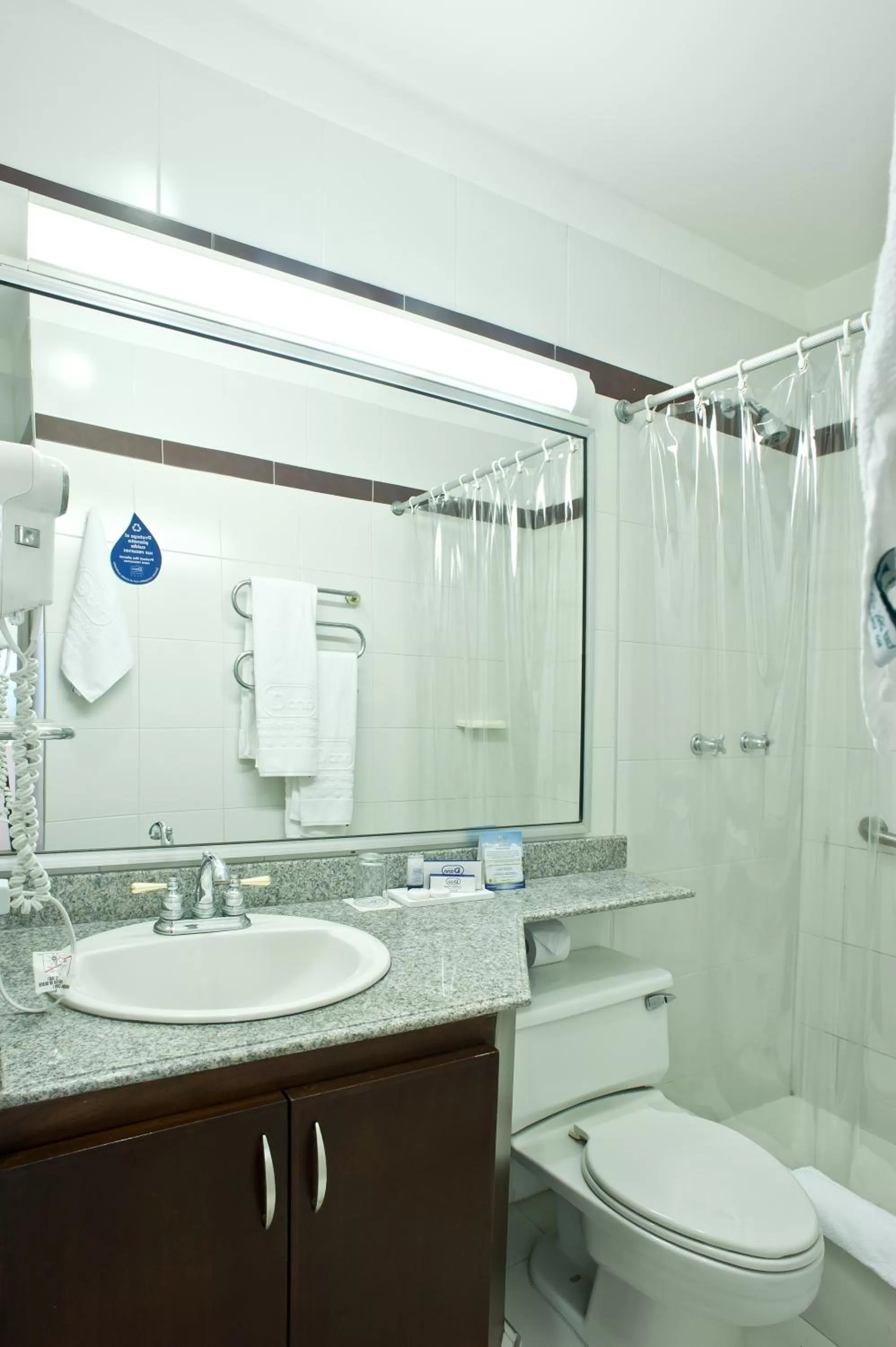 Bathroom in Hotel Dann Combeima