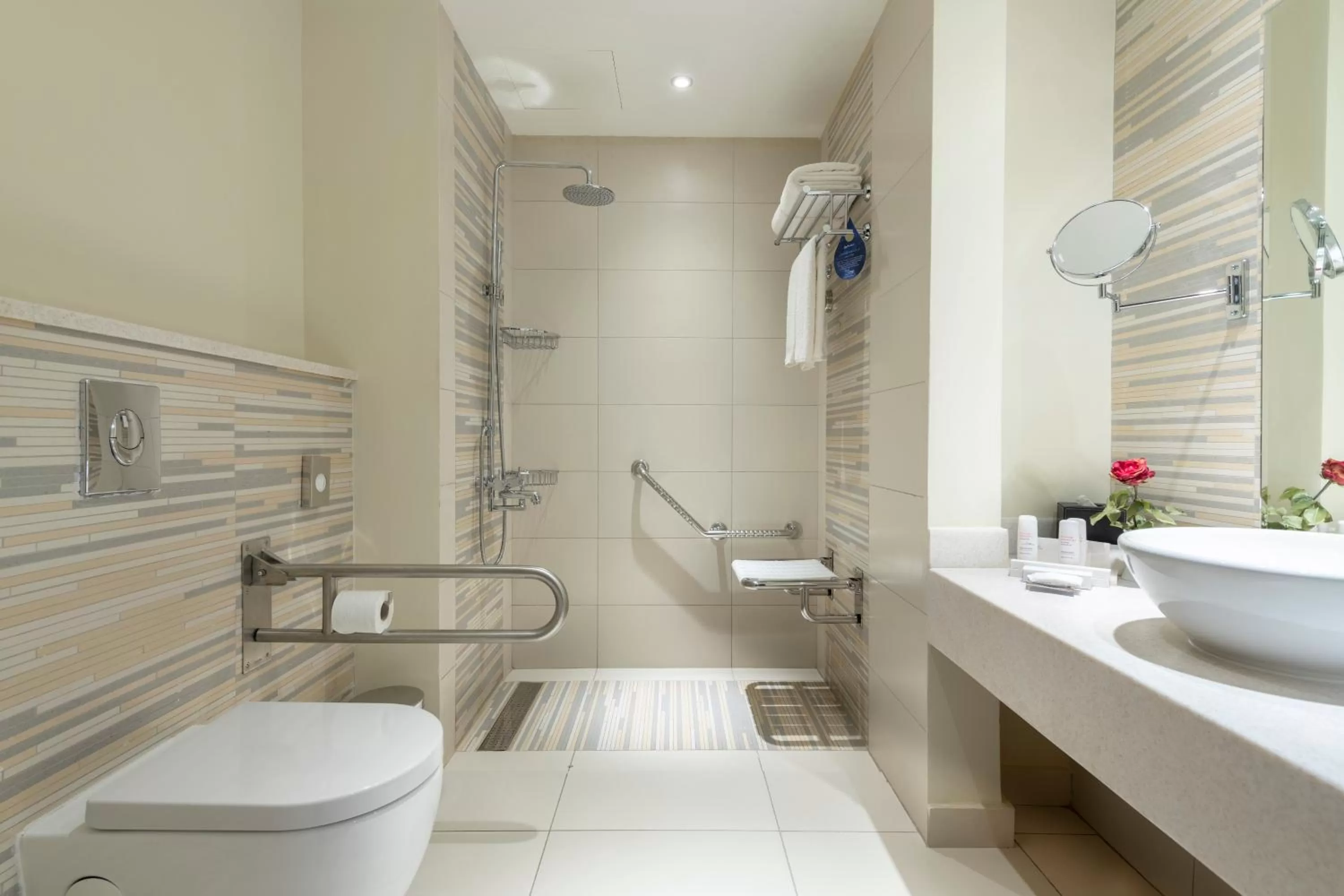 Facility for disabled guests in Radisson Blu Resort Jizan