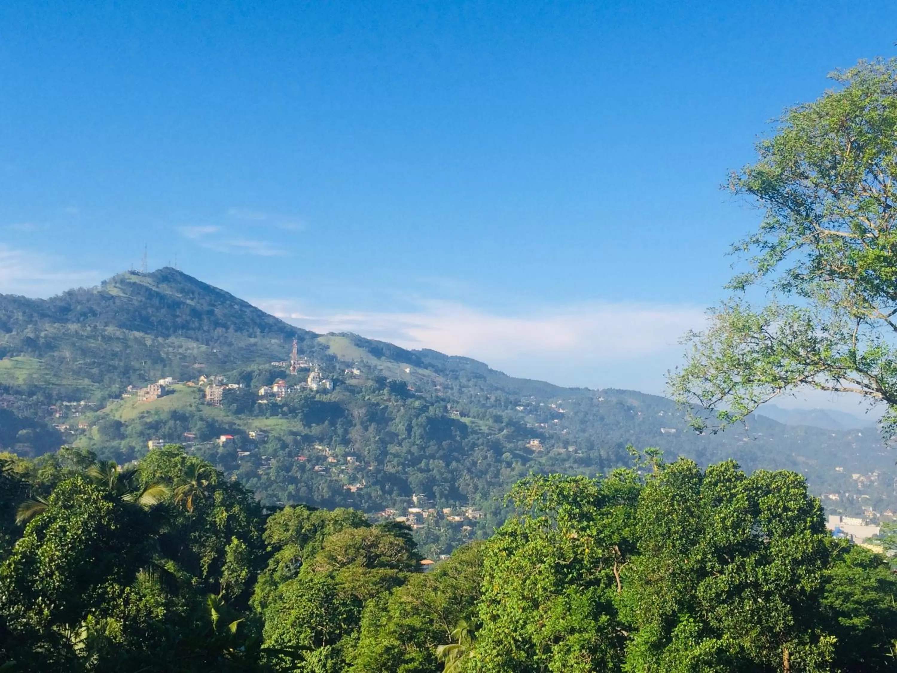 Mountain view in Selyna Sky Terrace