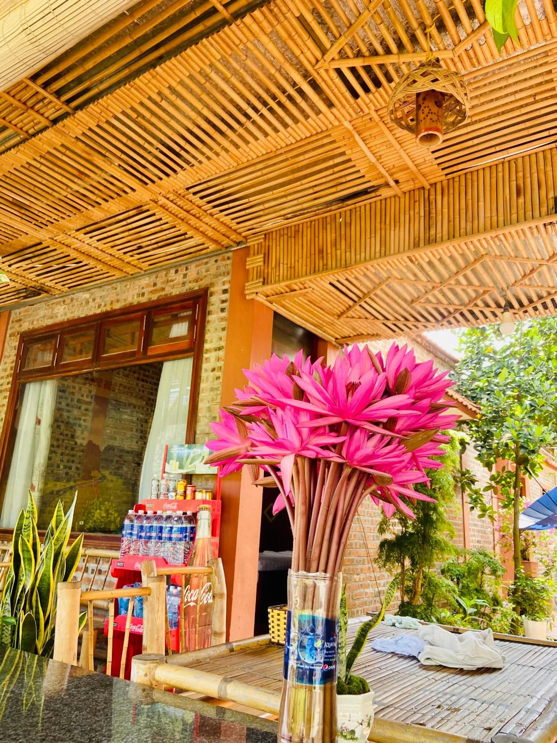 Tam Coc Mountain View Homestay