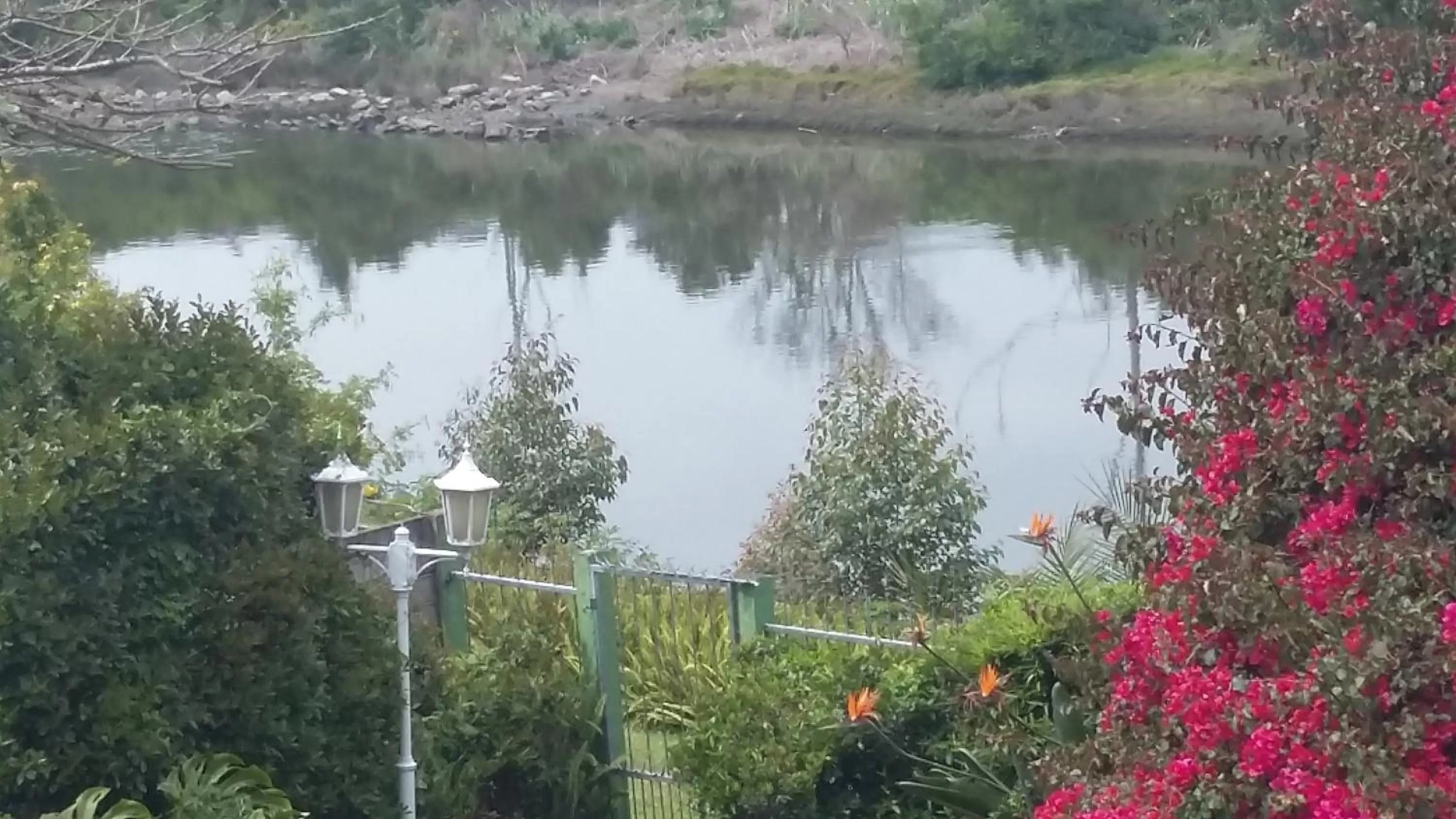 River view in Forword's River Lodge