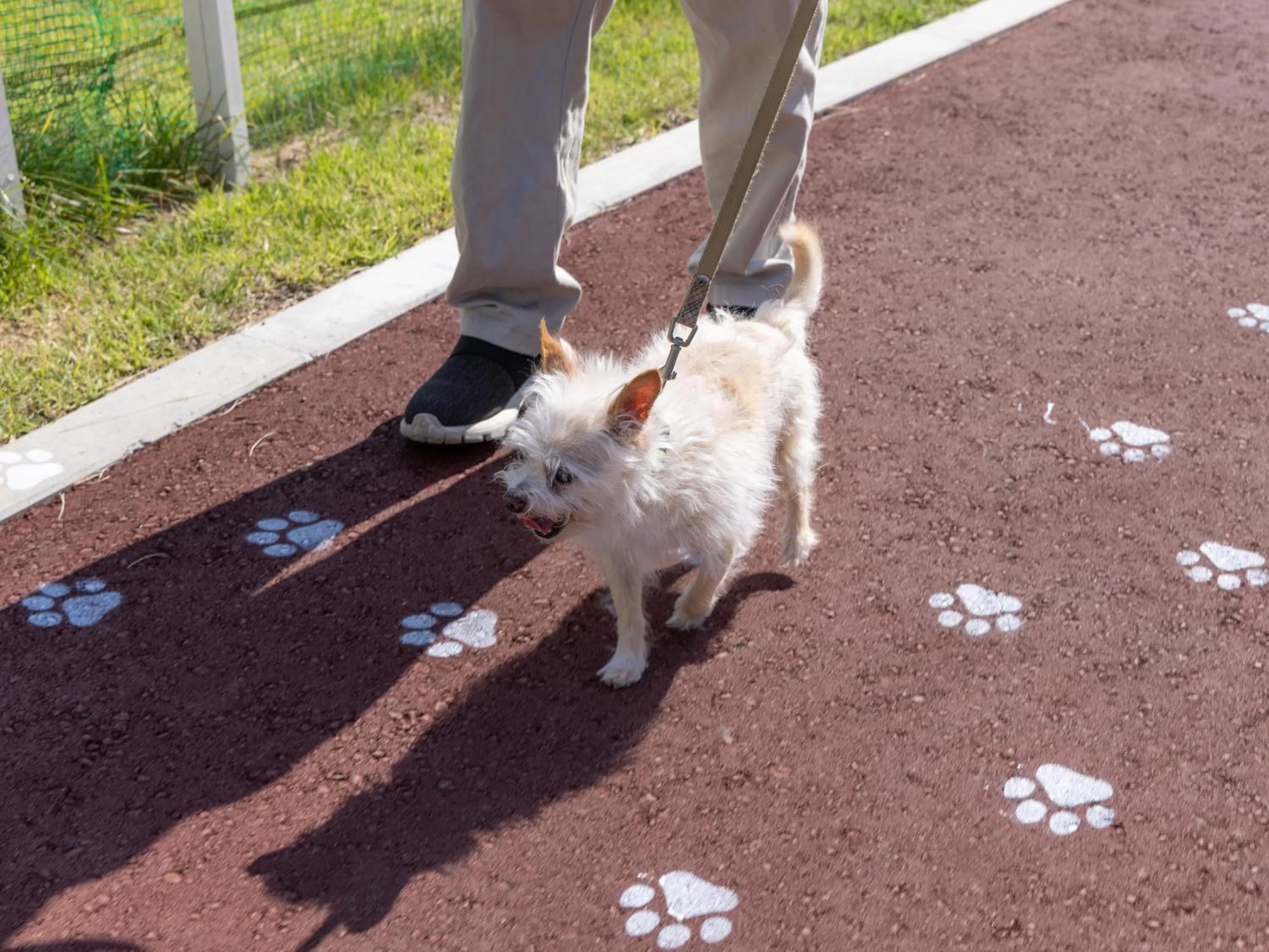 Animals in APA Hotel & Resort Joetsu Myoko