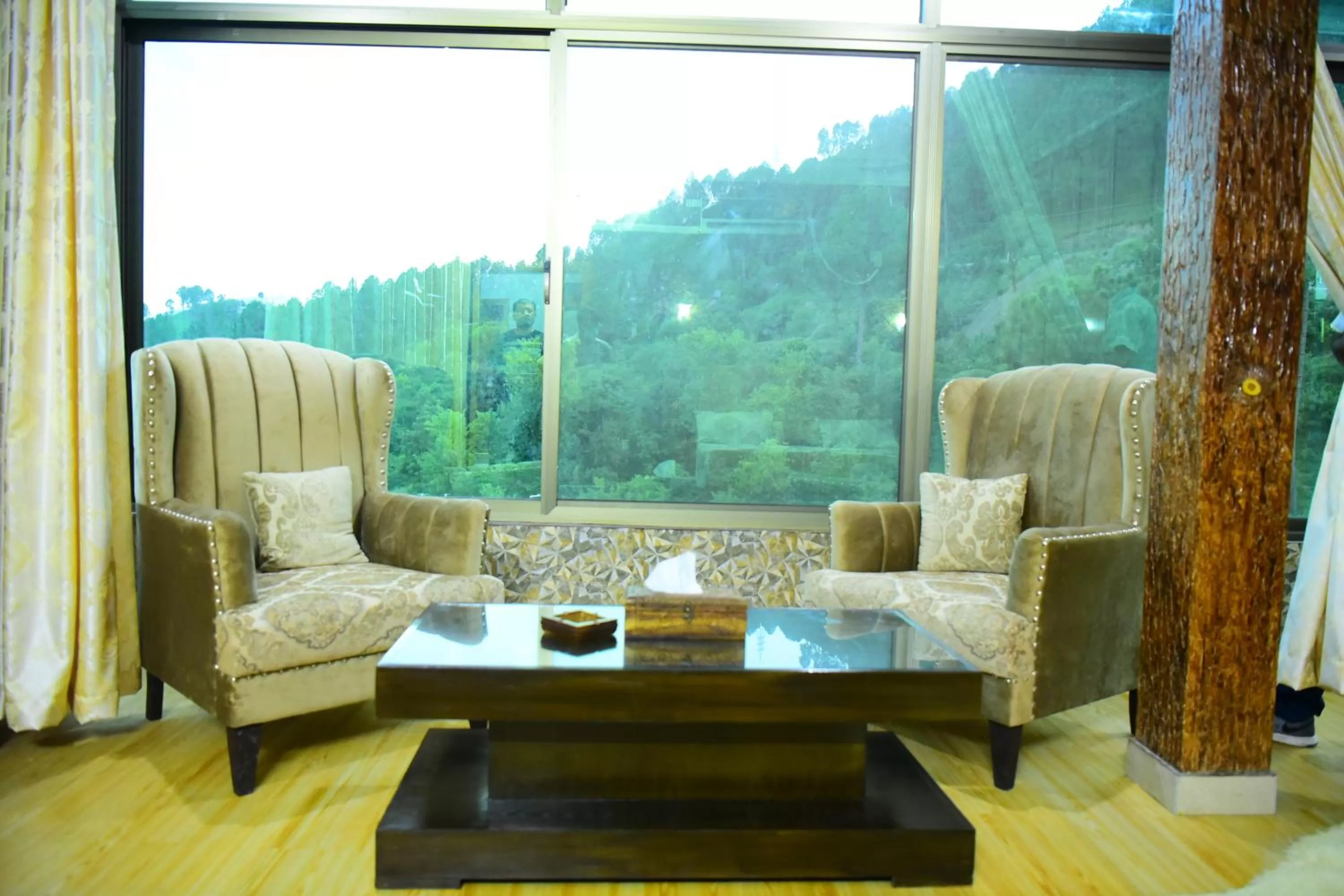 Seating area in Srinagar Homes