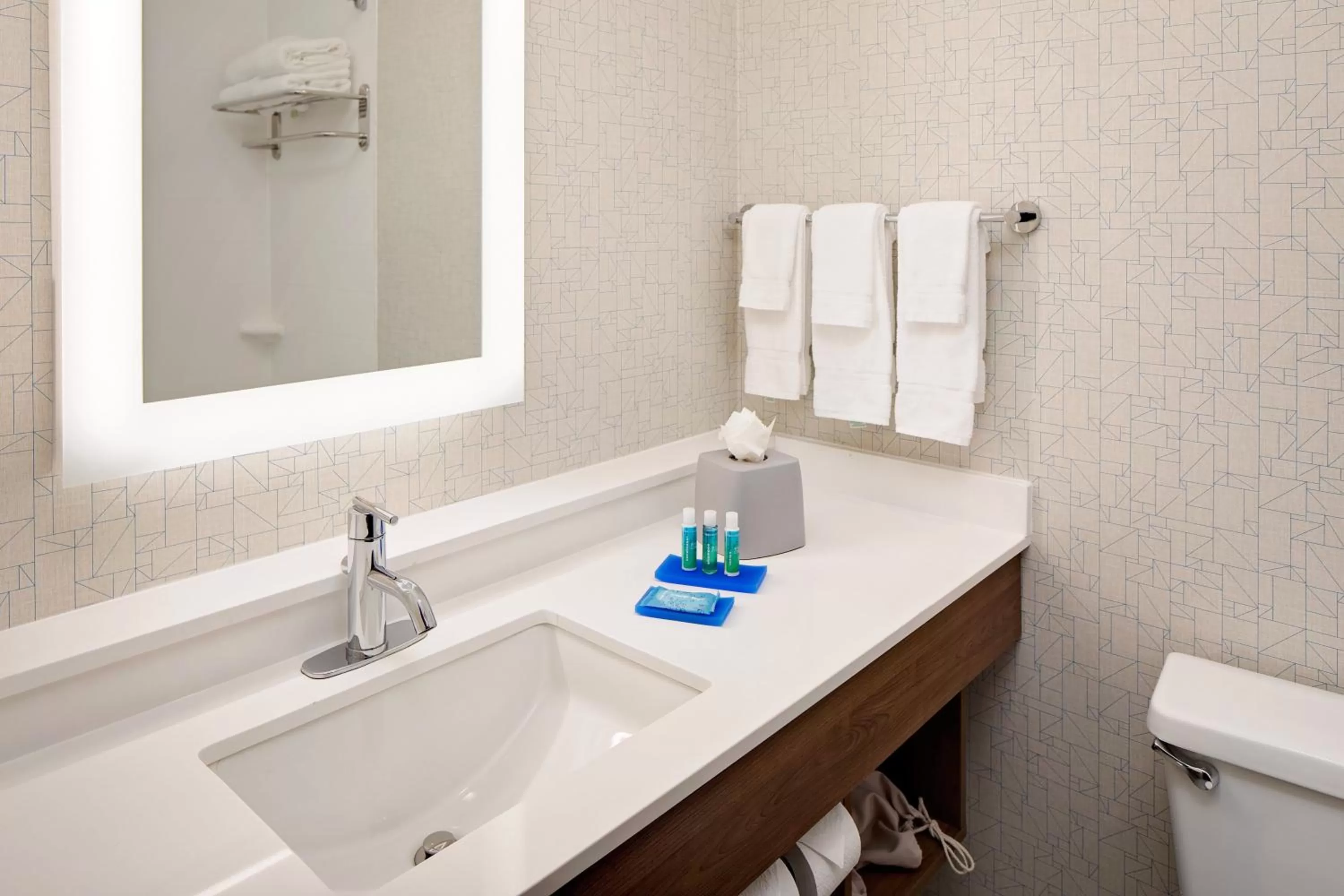 Bathroom in Holiday Inn Express Harrisburg East by IHG