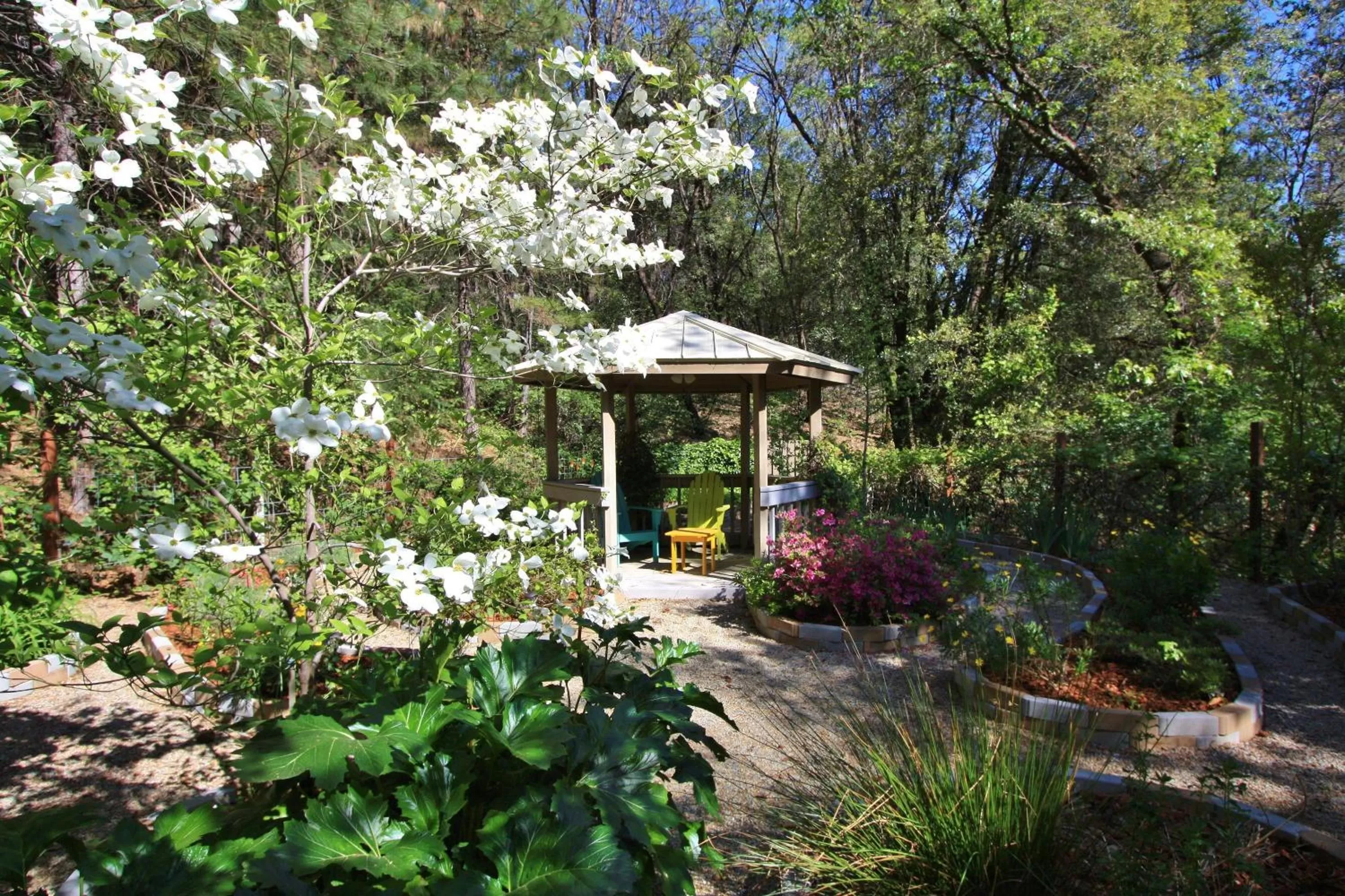 Garden in The Inn at Shasta Lake