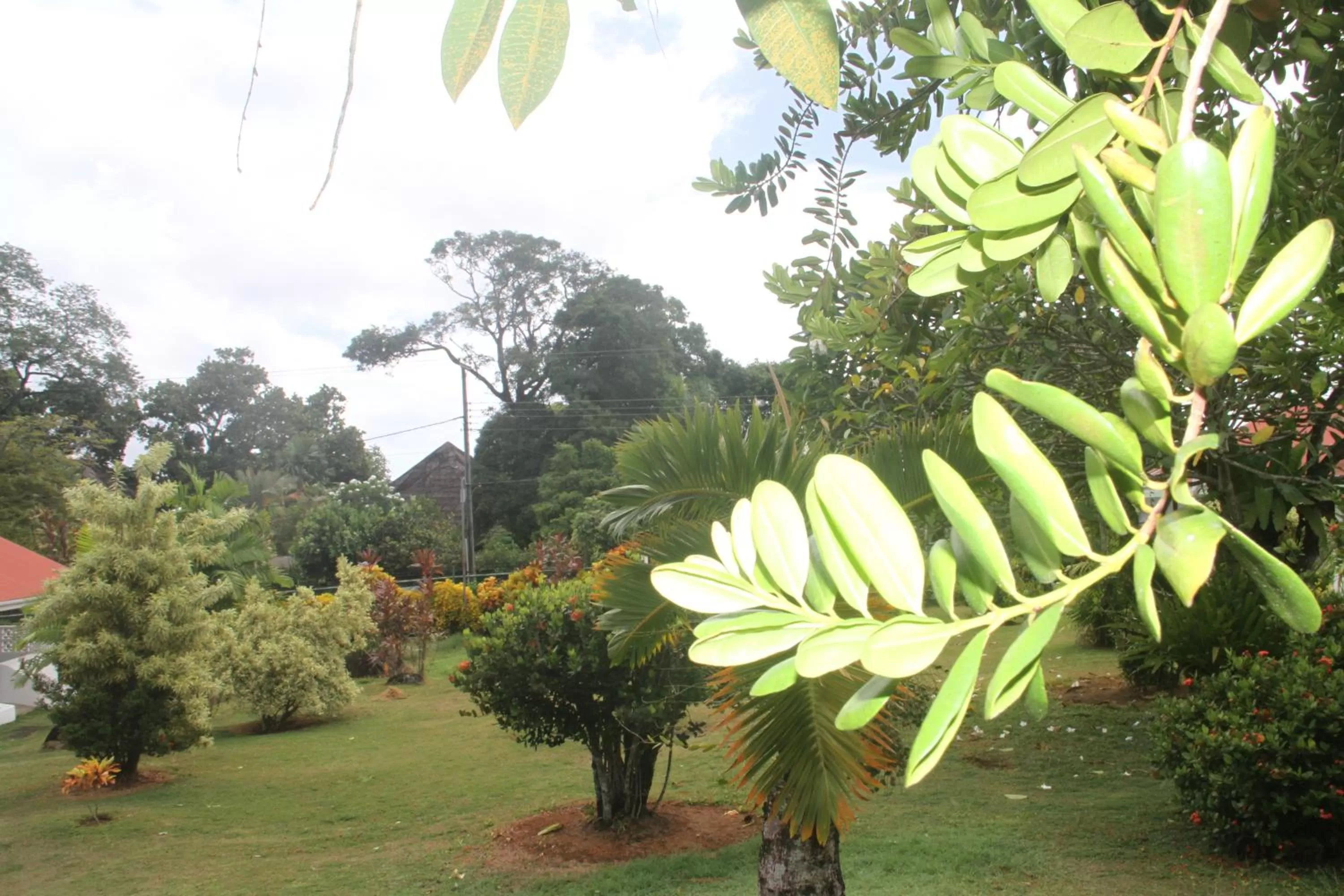 Garden in Daniella's Bungalows