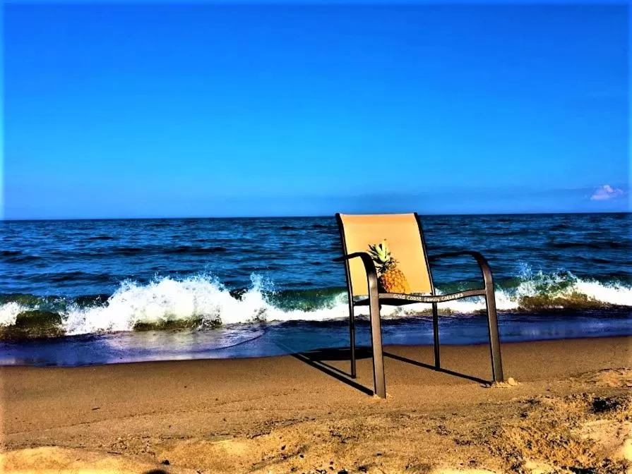 Day in Gold Coast Family Cottages