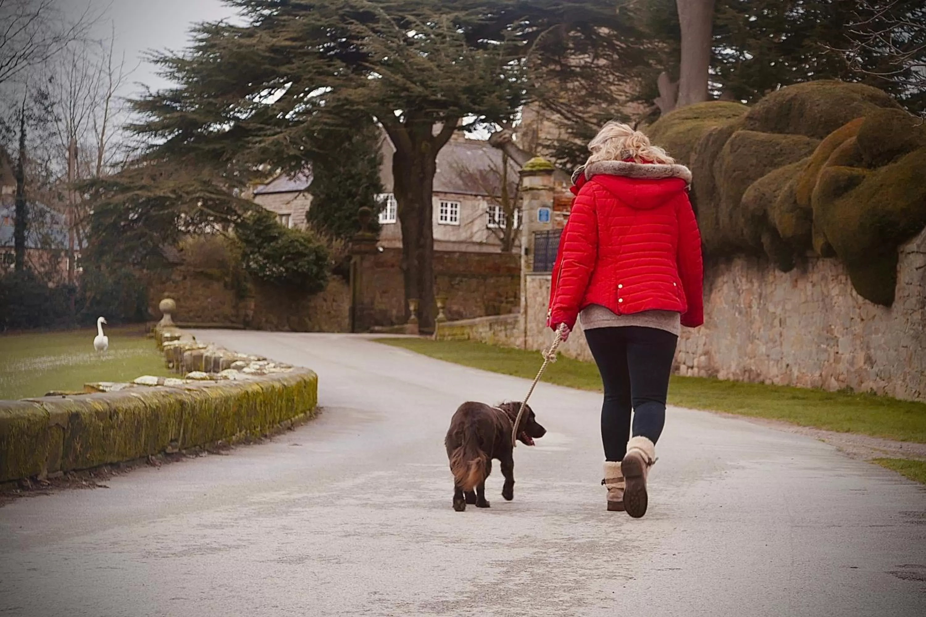 Neighbourhood in Harpur's of Melbourne