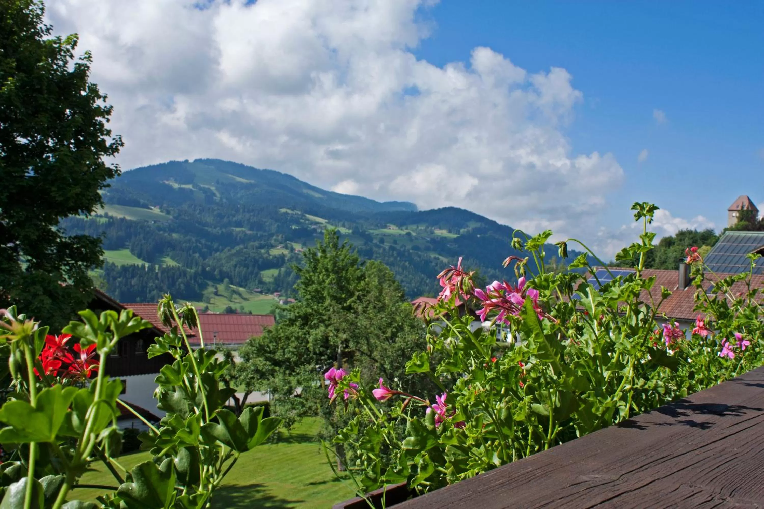 Photo of the whole room in Hotel Bayerischer Hof