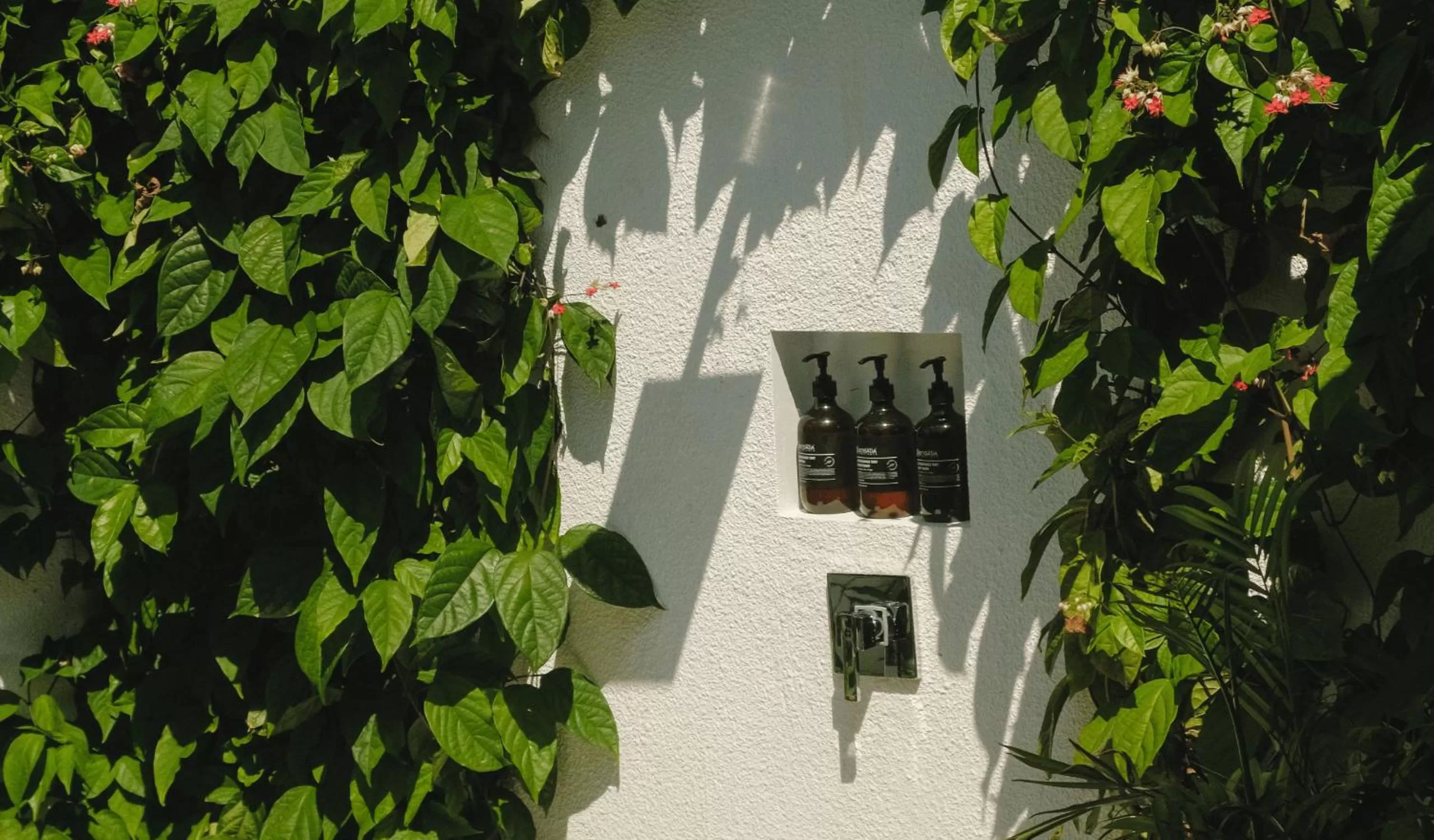 Shower in The Shacks at Sandy Bay