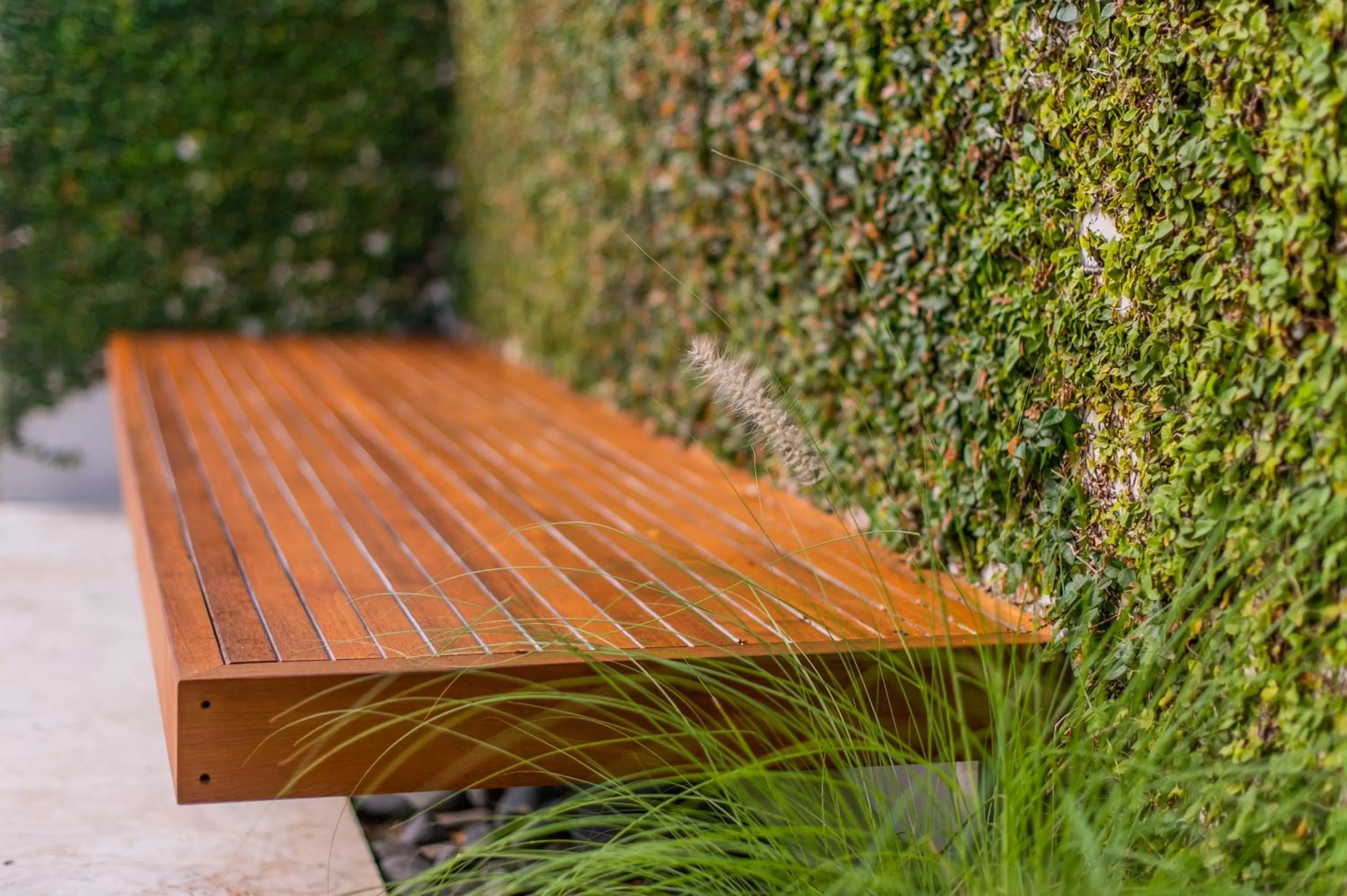 Swimming pool in Beach Haus Key Biscayne Contemporary Apartments