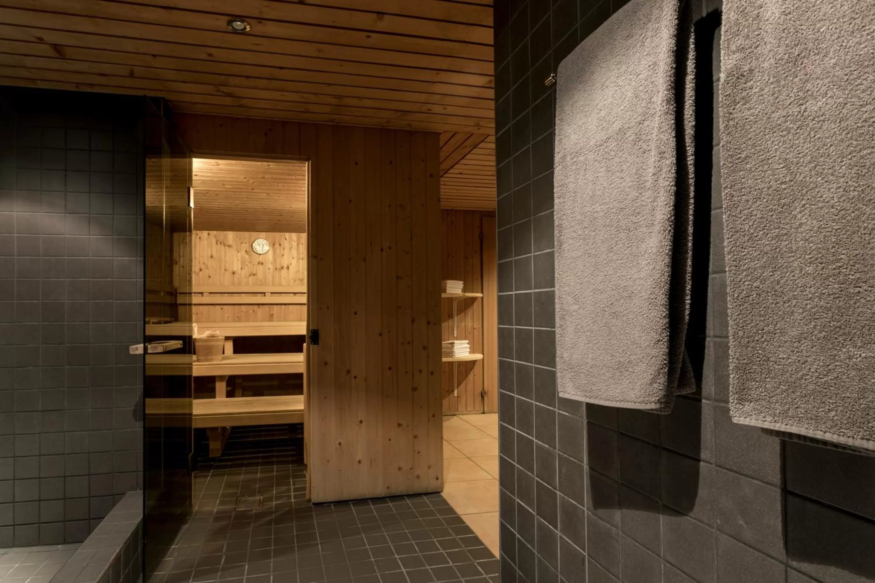 Sauna in T3 Alpenhotel Flims