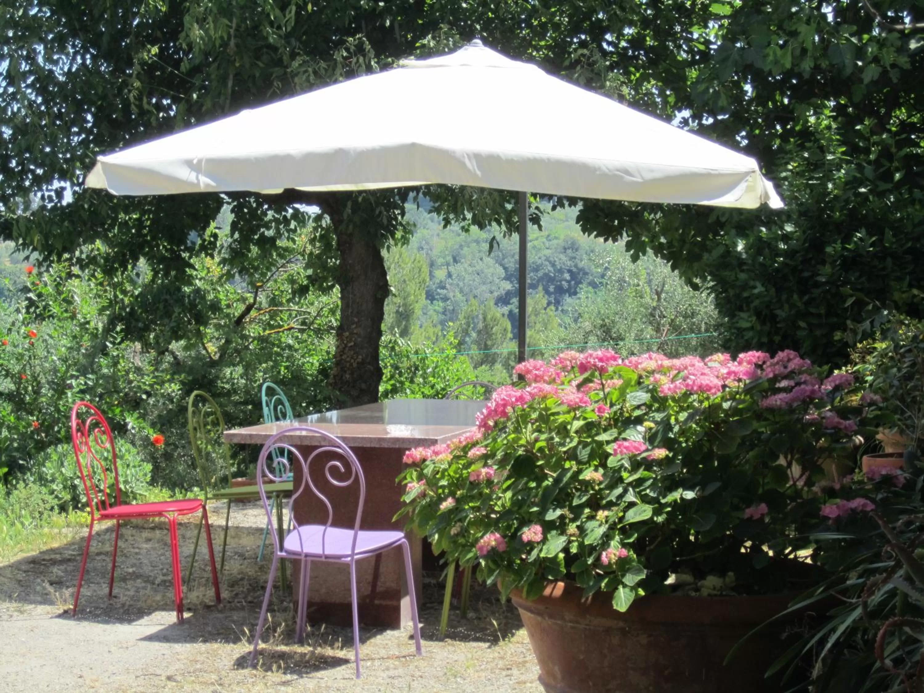 Garden in A Casa di Lizzy B&B