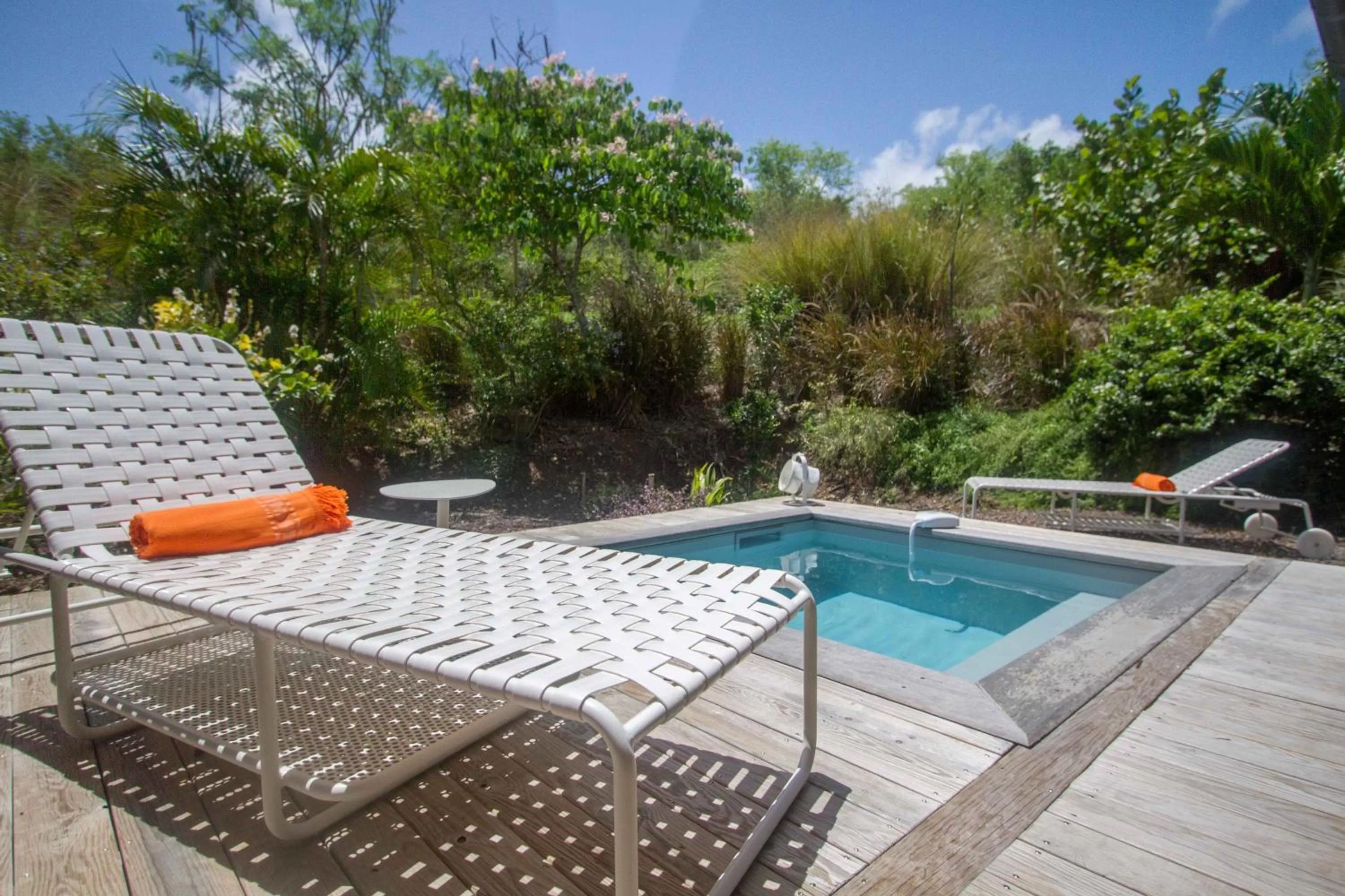 Swimming pool in French Coco