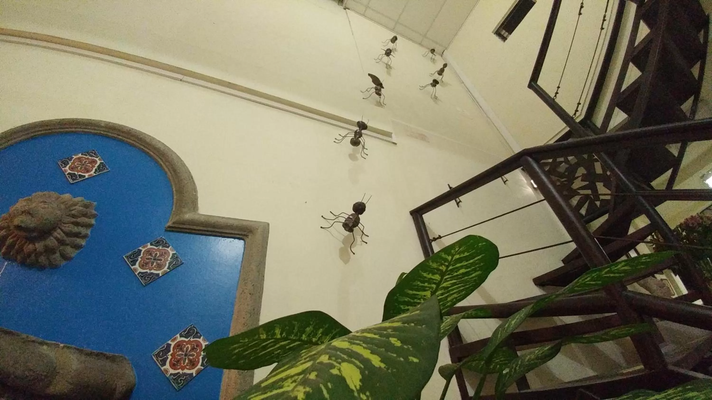 Activities in Hotel Armonía Hostal