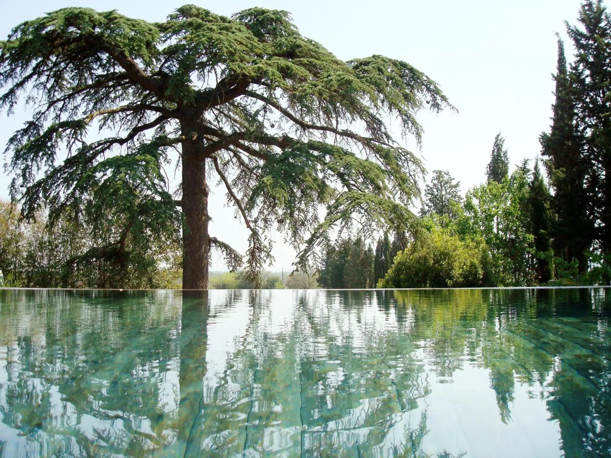 Swimming pool in Bed and Breakfast La Grande Lauzade