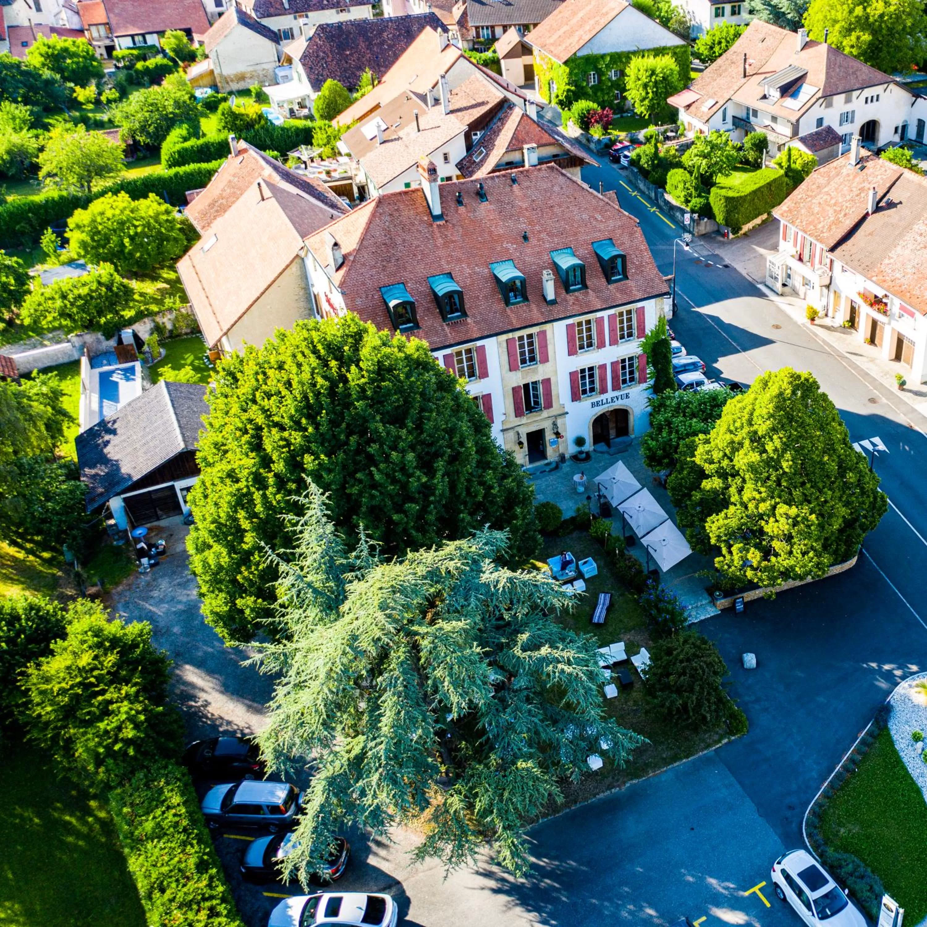 Bird's eye view, Bird's-eye View in Hôtel Restaurant Bellevue