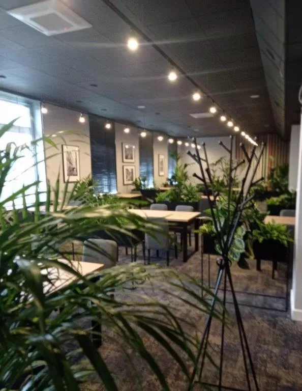 Restaurant/places to eat in Hotel IOR