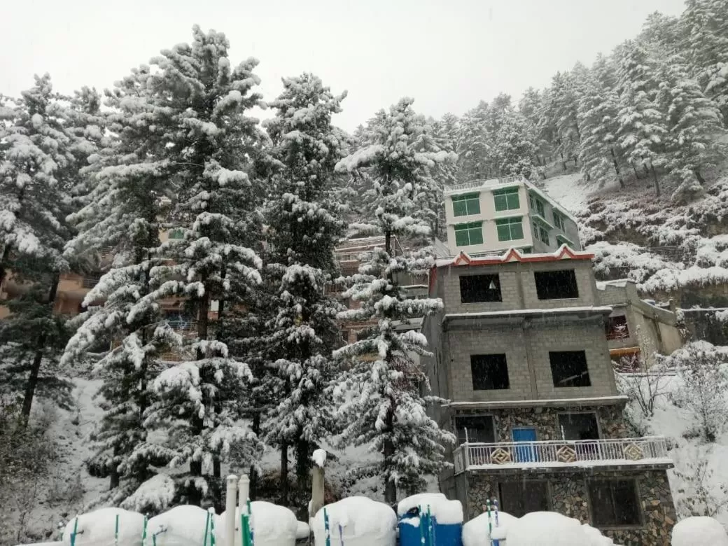Winter in Shagufta Royal Hotel Murree