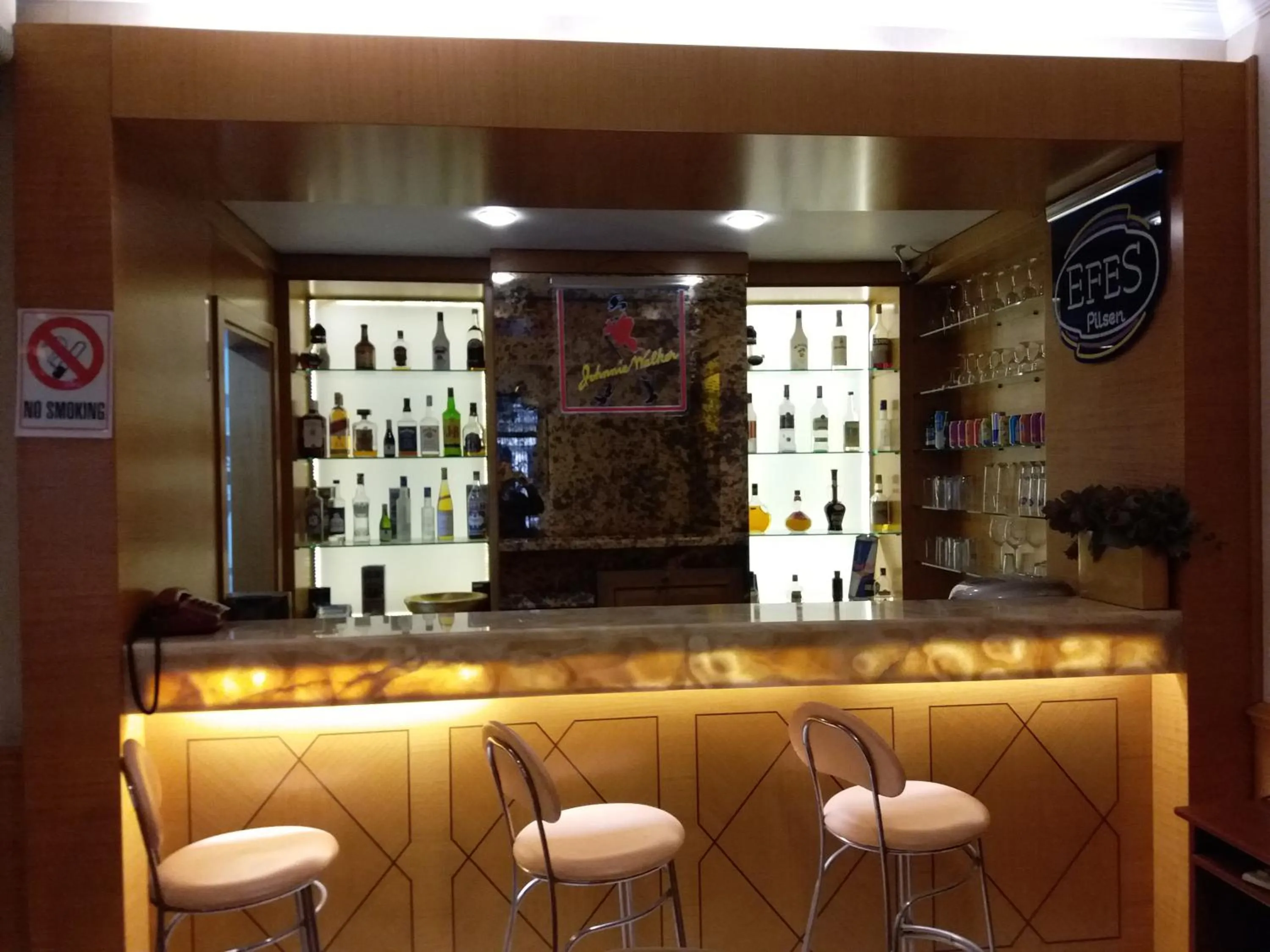 Lounge or bar in Hotel Inter Istanbul