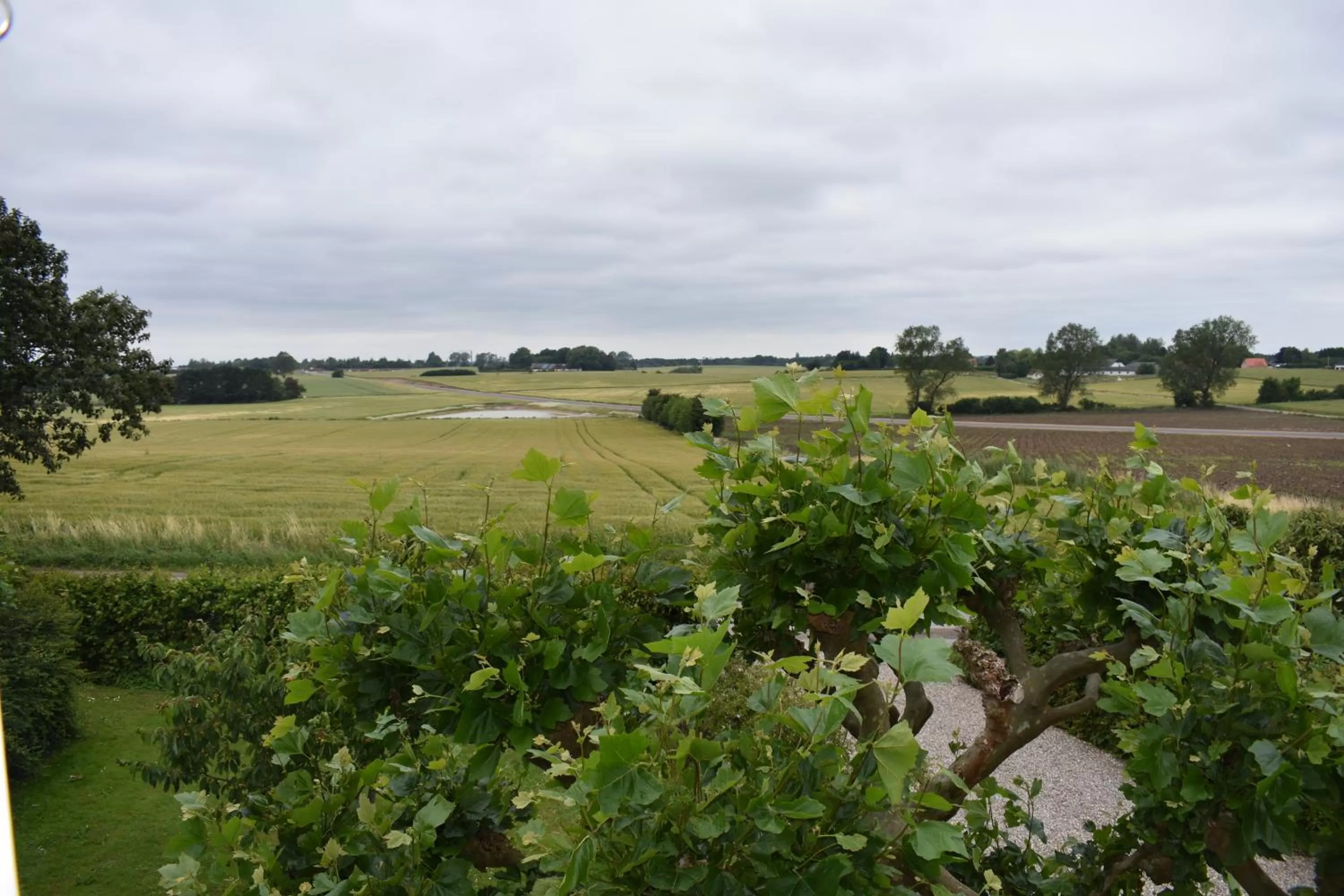 View (from property/room) in Marielyst B&B - Apartments