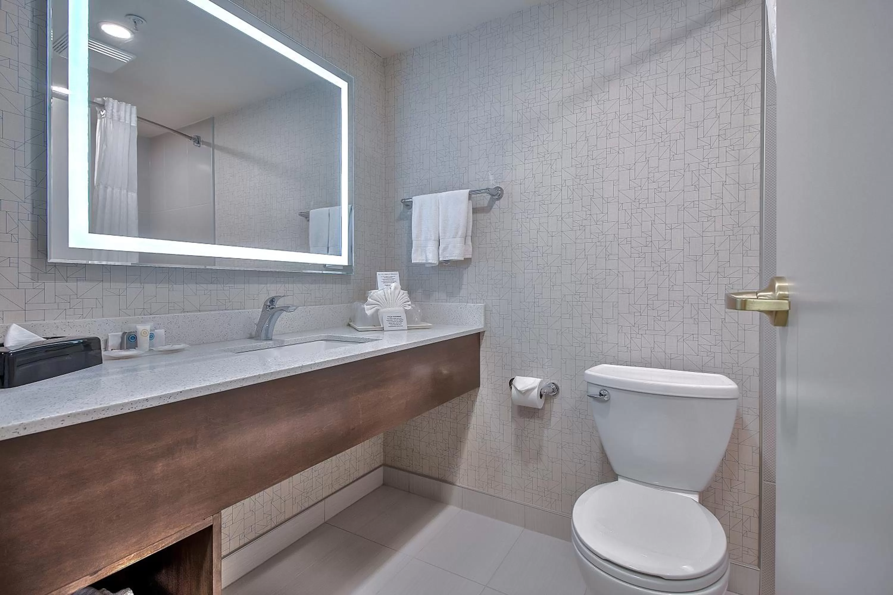 Bathroom in Comfort Inn & Suites South