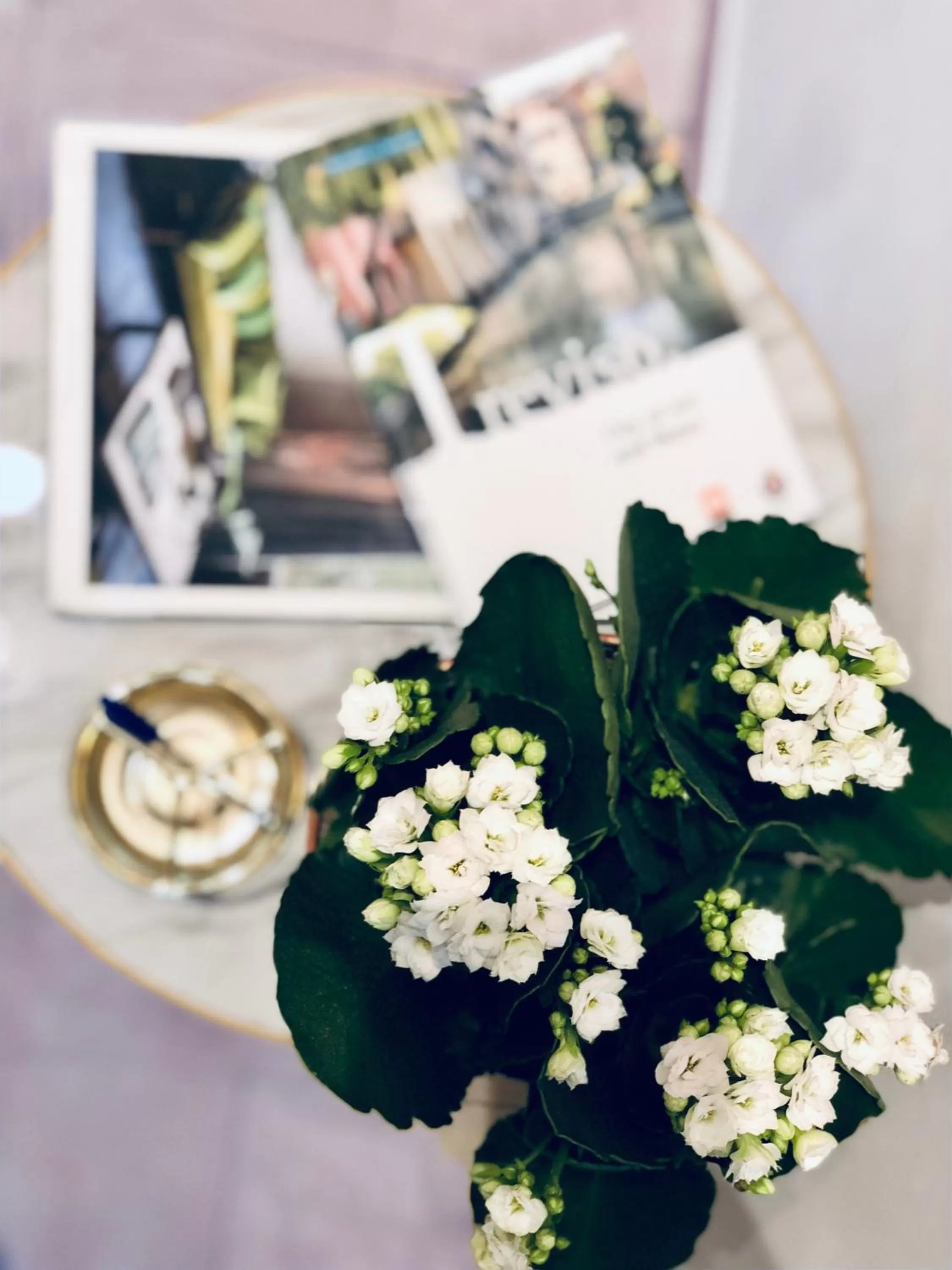 Decorative detail in Palazzina300