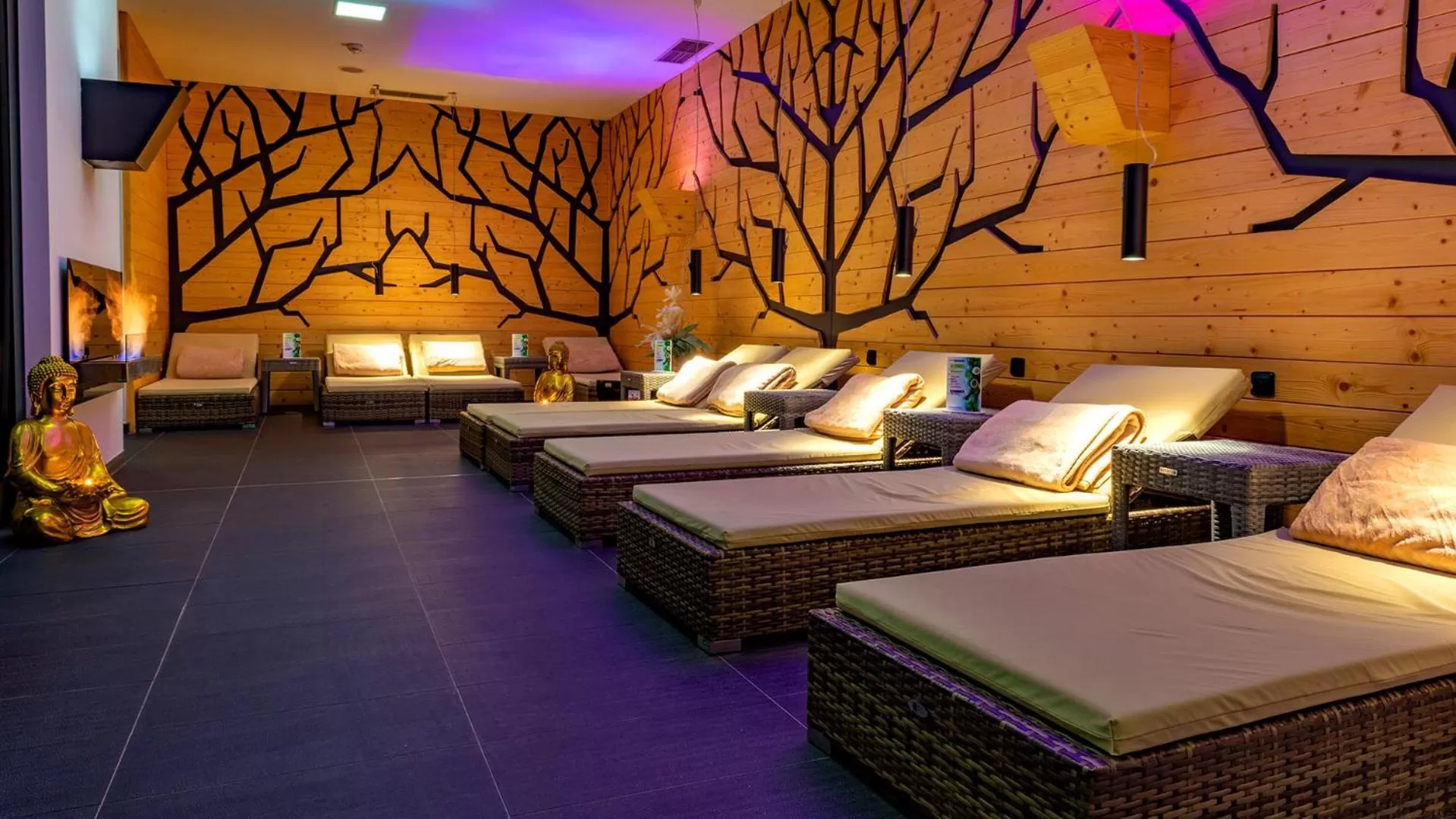 Spa and wellness centre/facilities in Hotel AquaCity Riverside