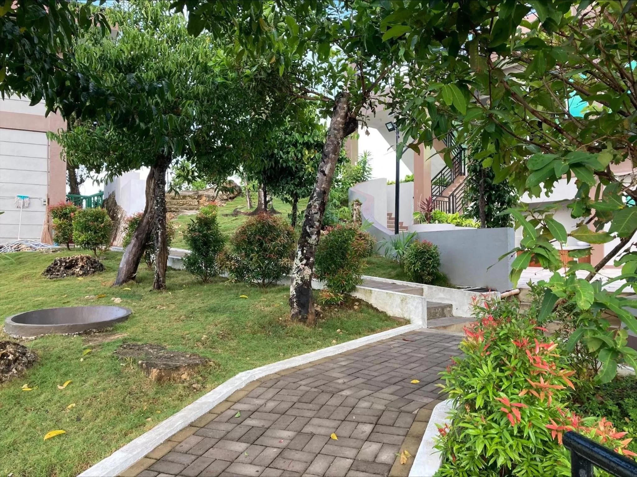 Garden in MS Mountain Cabin