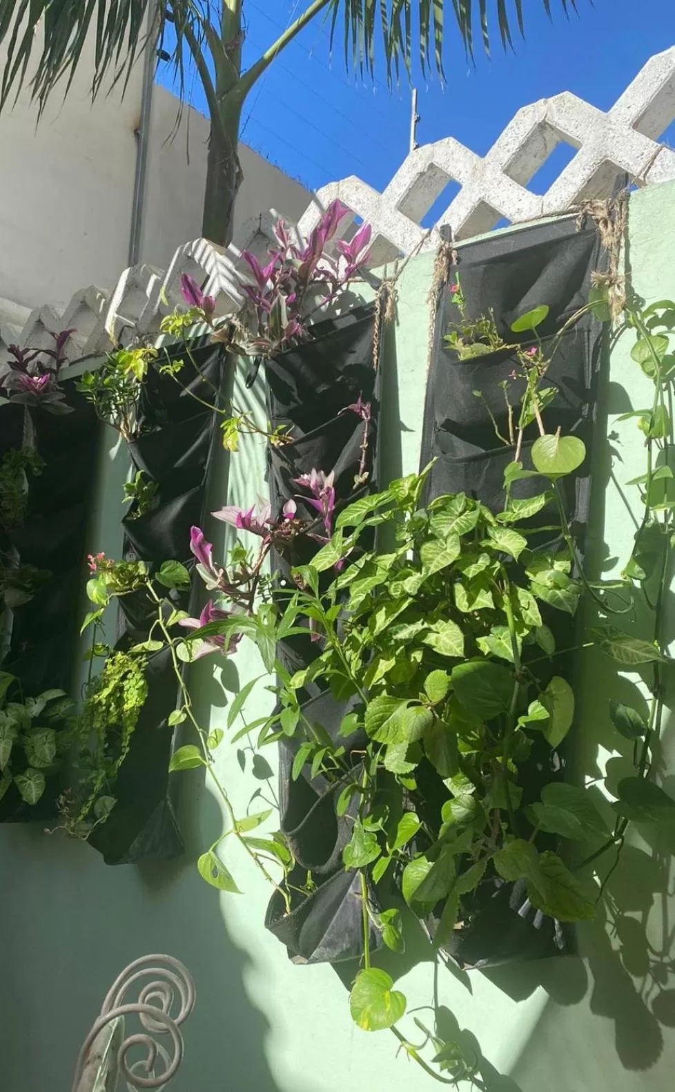 Property Building in The Quetzal