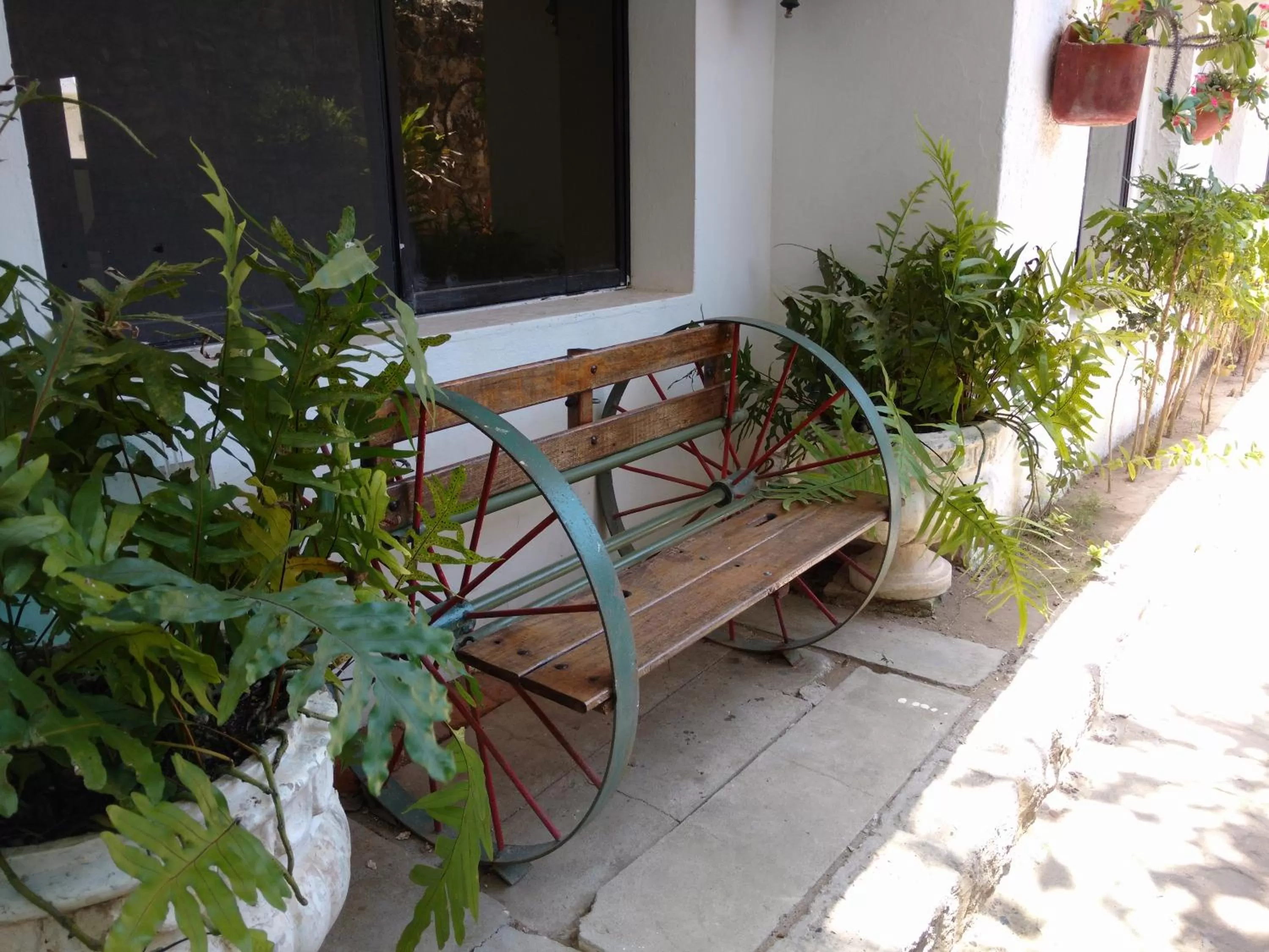 Garden in Hotel Boutique Casa Berastegui