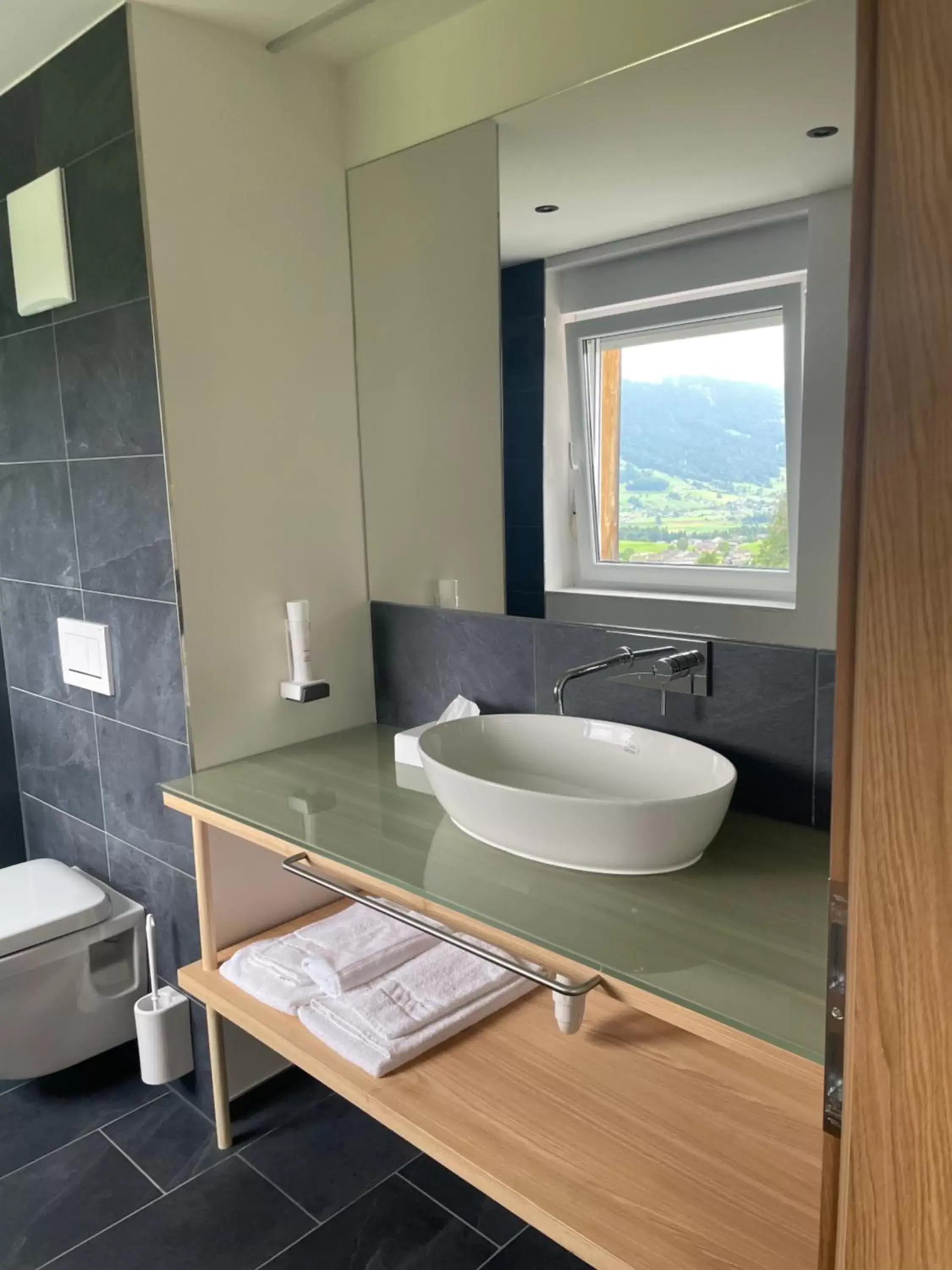 Deluxe Double Room with Balcony in Panoramahotel Sonnhalde Deluxe Double Room with Balcony in Panoramahotel Sonnhalde