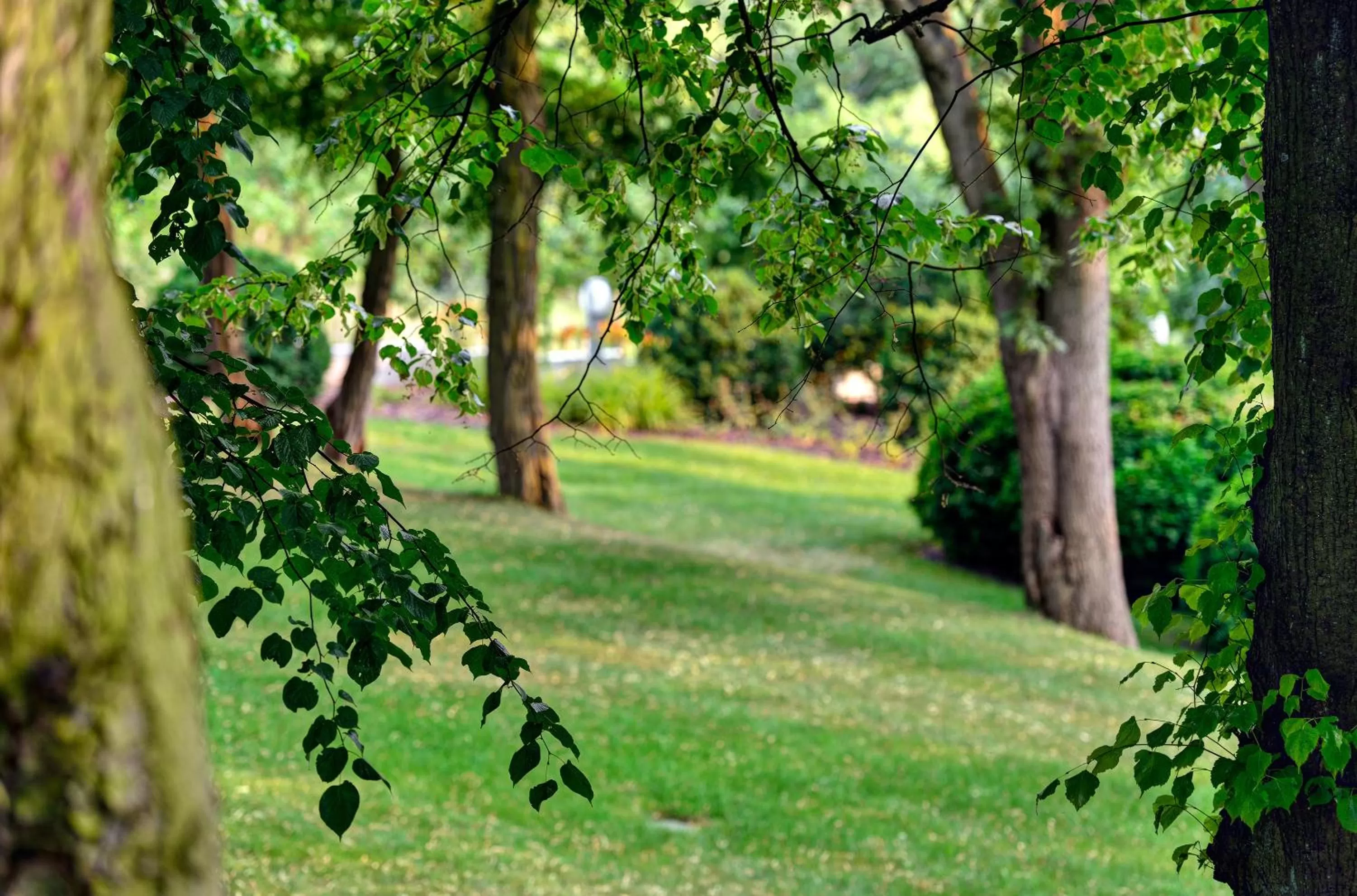 Facade/entrance in ARTHOTEL Kiebitzberg