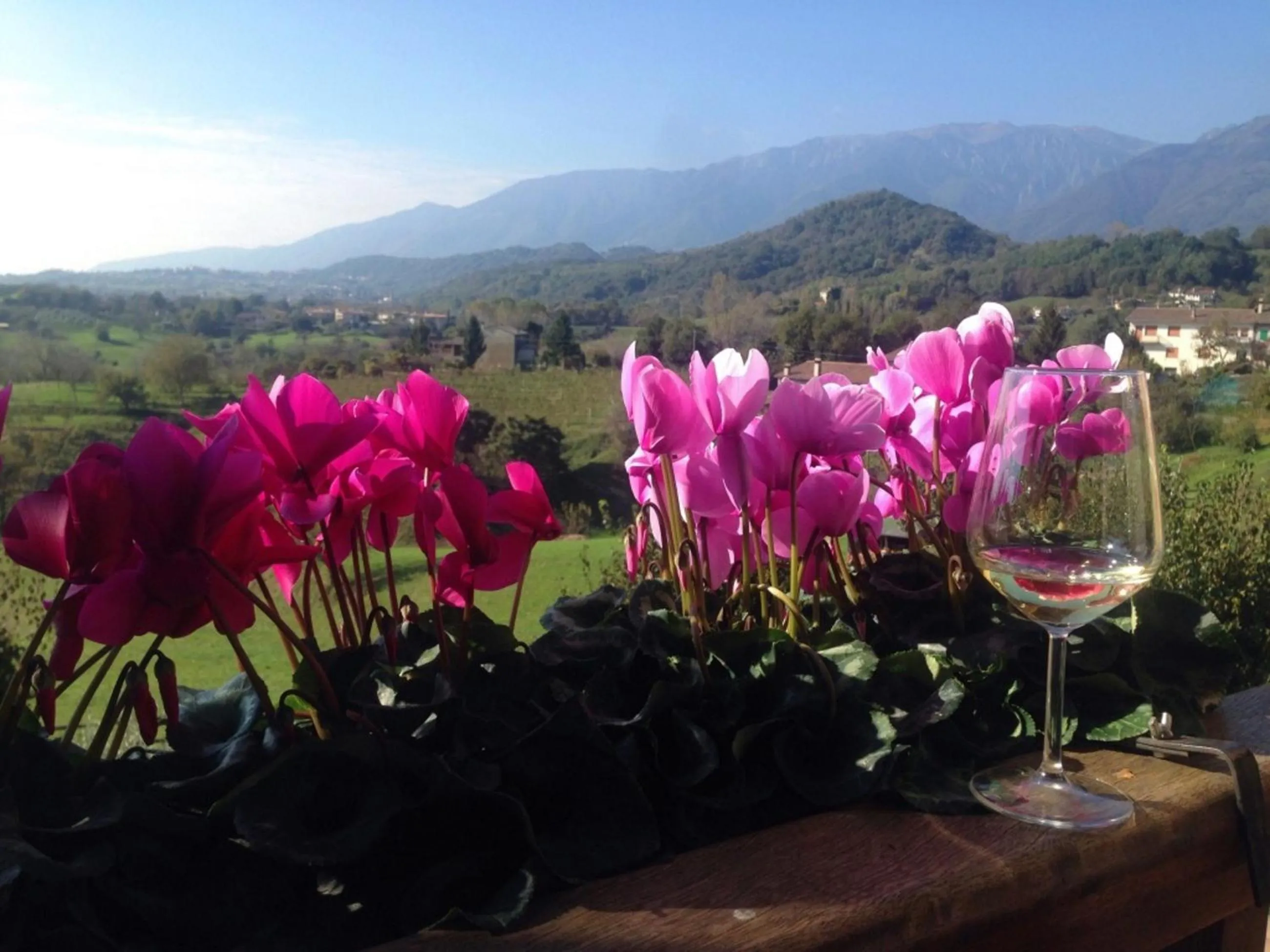Natural landscape in Wine Hotel San Giacomo Activity & Wellness