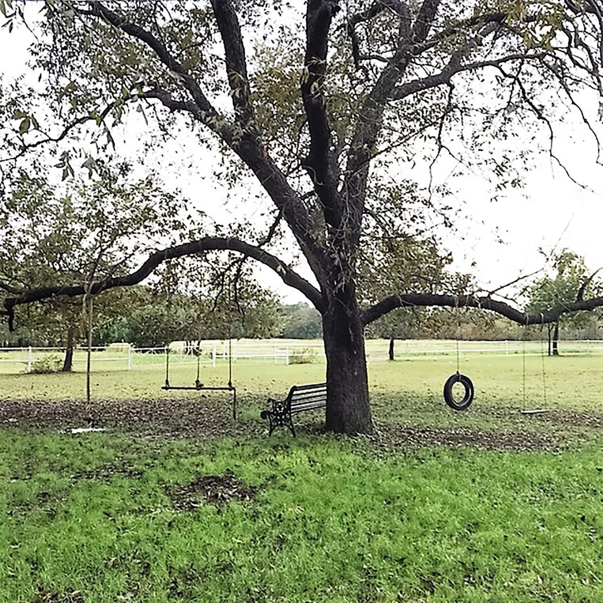 View (from property/room) in Country Woods Inn