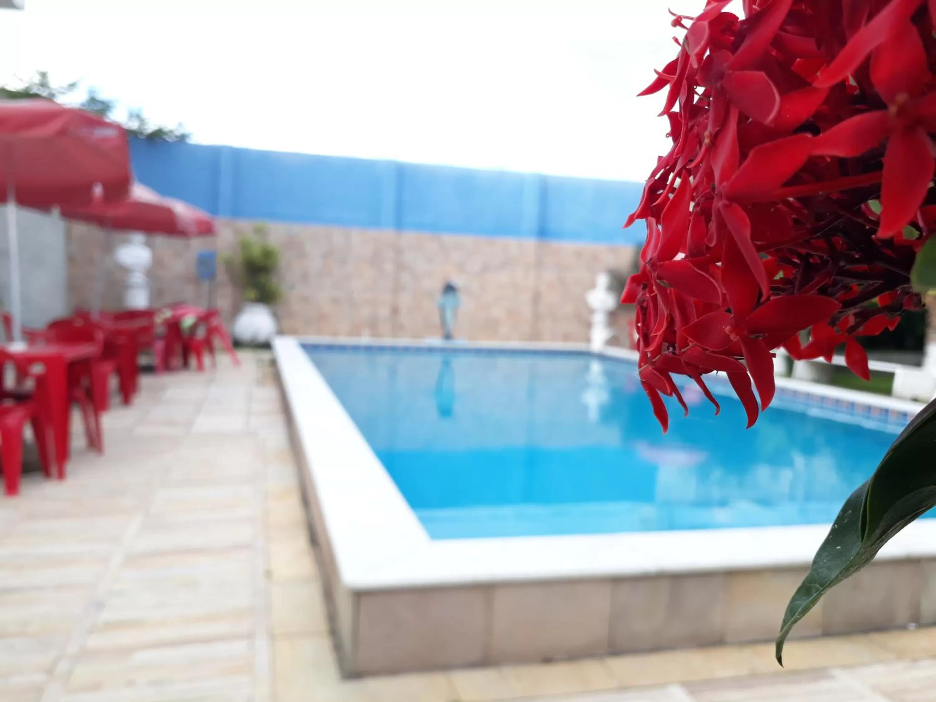 Swimming Pool in Pousada Das Palmeiras